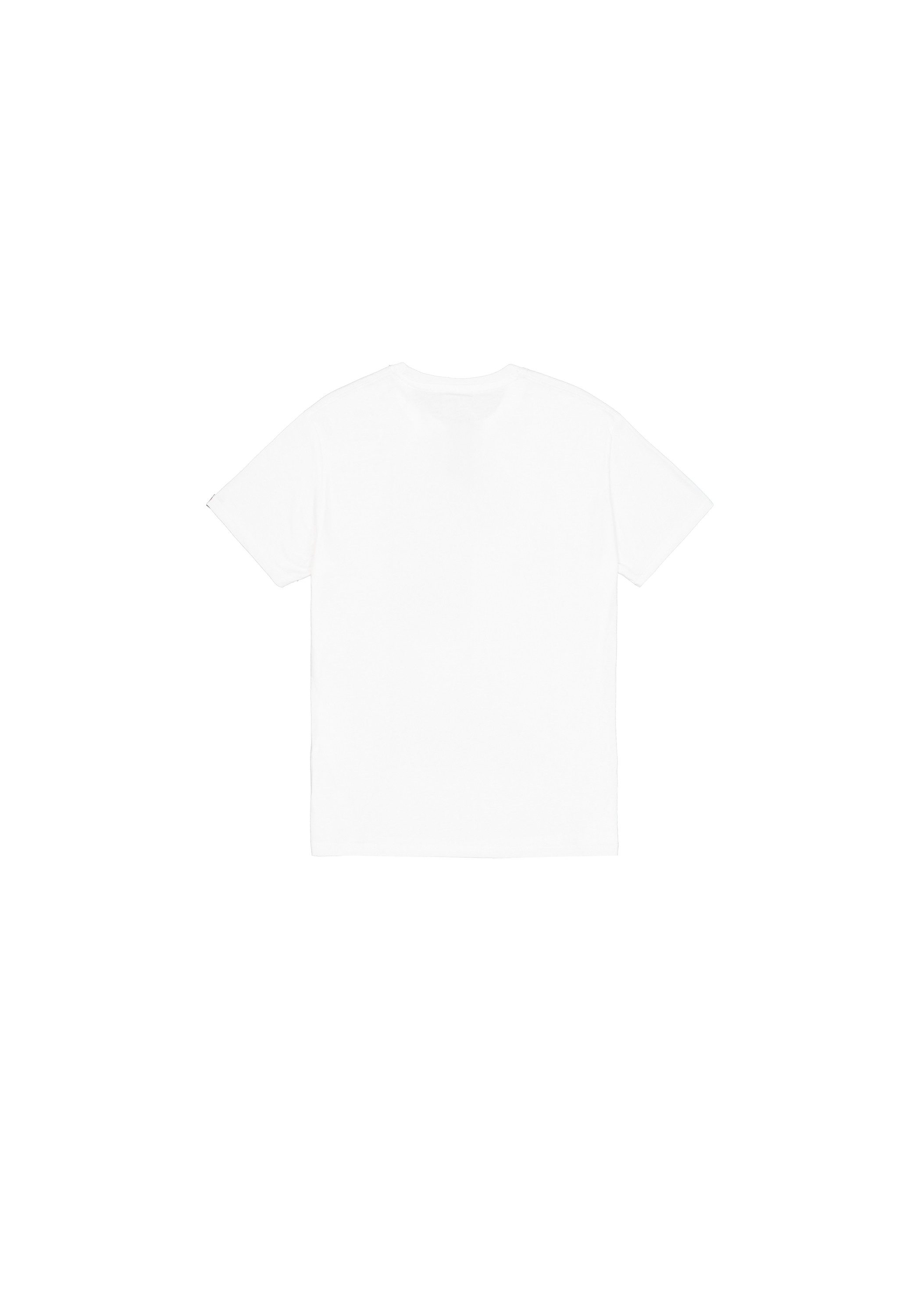Alpha Industries T-Shirt Grunge Logo T-Shirt günstig online kaufen