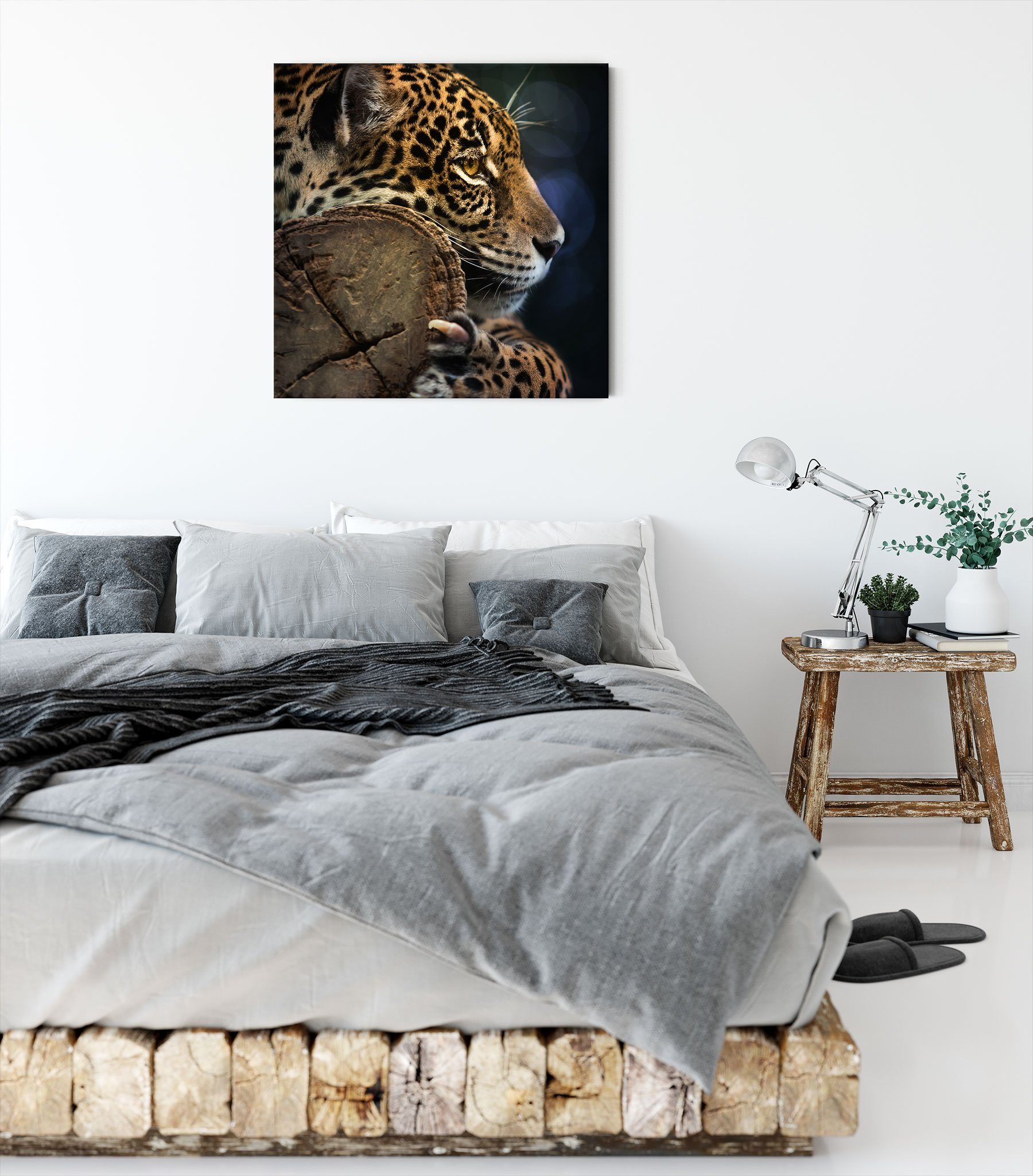 Pixxprint Leinwandbild Wunderschöner Leopard, Leopard St), Zackenaufhänger Wunderschöner Leinwandbild (1 inkl. fertig bespannt