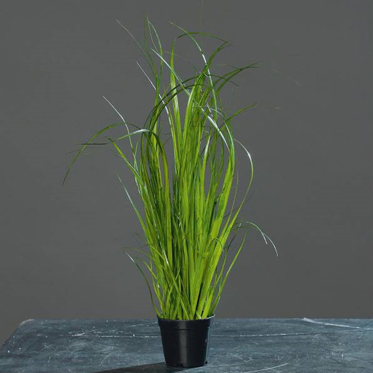 Kunstgras Topfpflanzen, DPI, Höhe 40 cm, günstig online kaufen