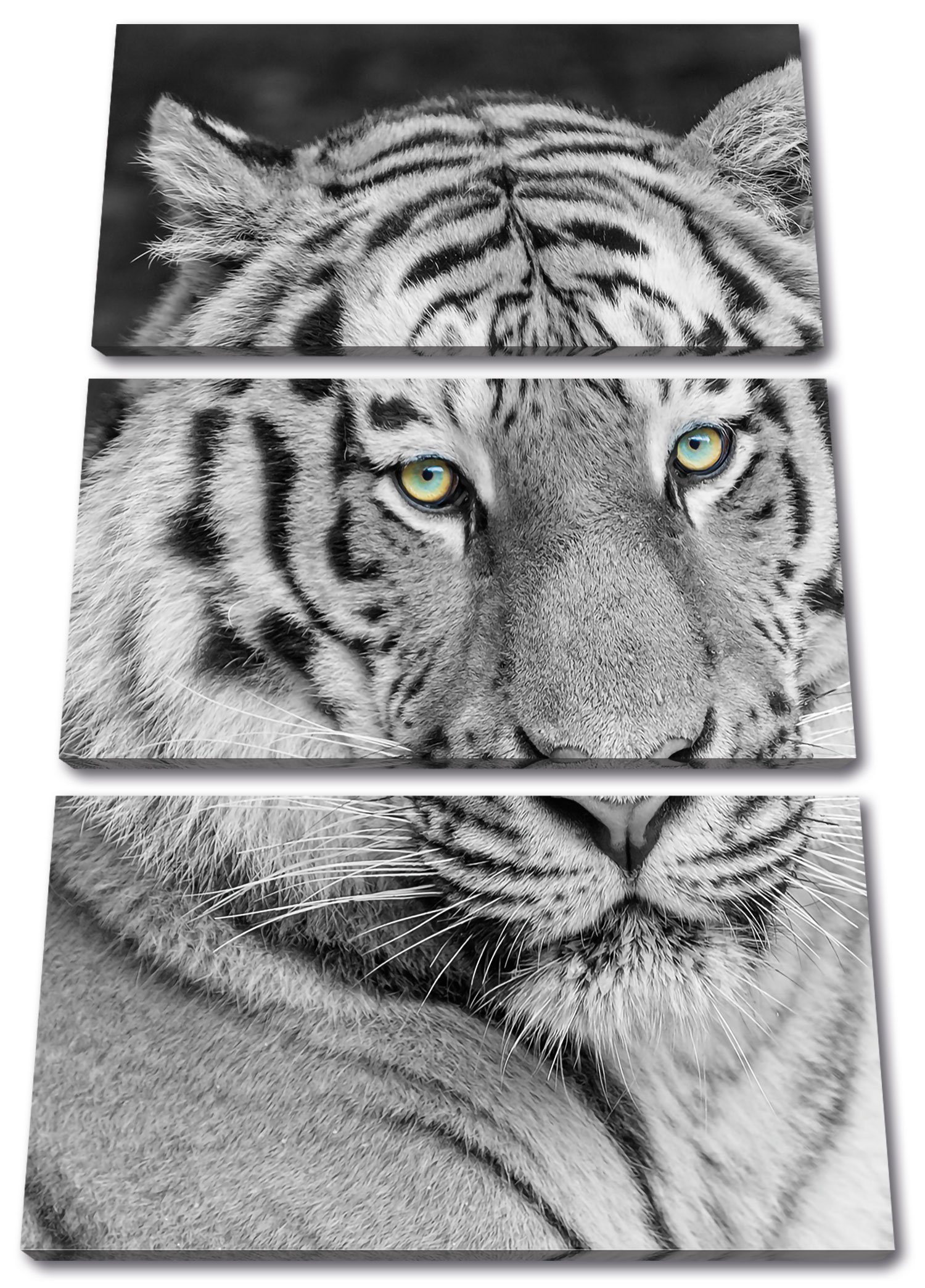 Pixxprint Leinwandbild (1 St), inkl. Tiger schöner bespannt, prächtiger Leinwandbild fertig 3Teiler schöner (120x80cm) Zackenaufhänger prächtiger Tiger