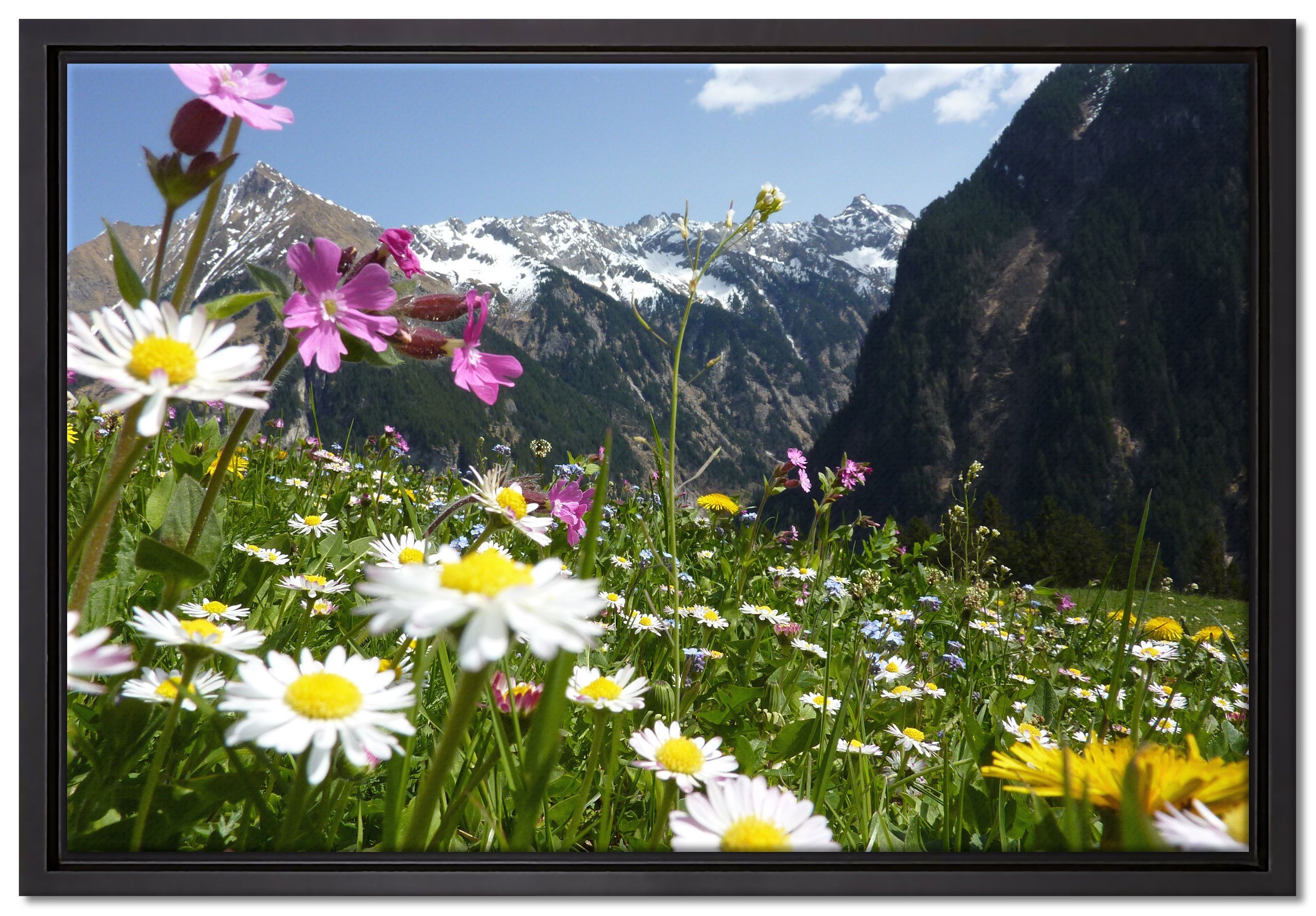 Blumen Schattenfugen-Bilderrahmen (1 in Zackenaufhänger gefasst, Wunderschöne Alpenwiese, einem bespannt, fertig Wanddekoration Leinwandbild Pixxprint inkl. St), Leinwandbild