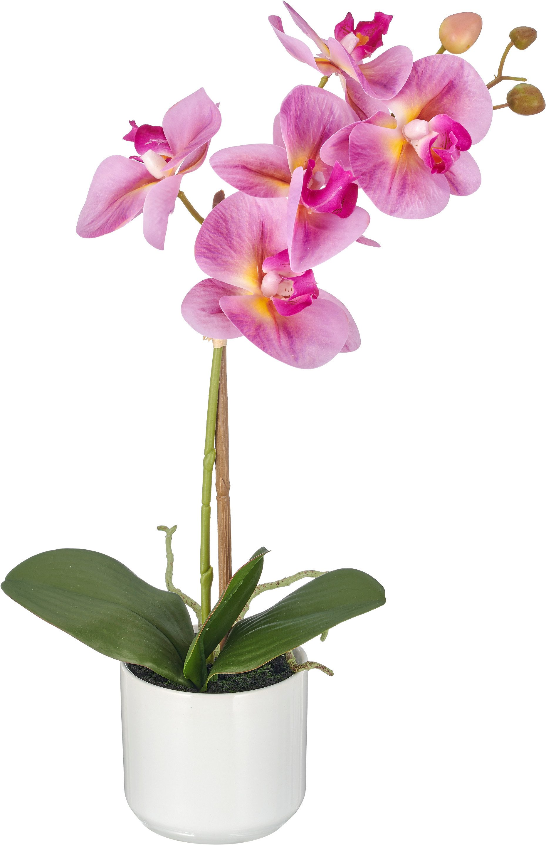 Kunstorchidee Phalaenopsis, Creativ green, Höhe 46 cm, mit Real-Touch-Blüten