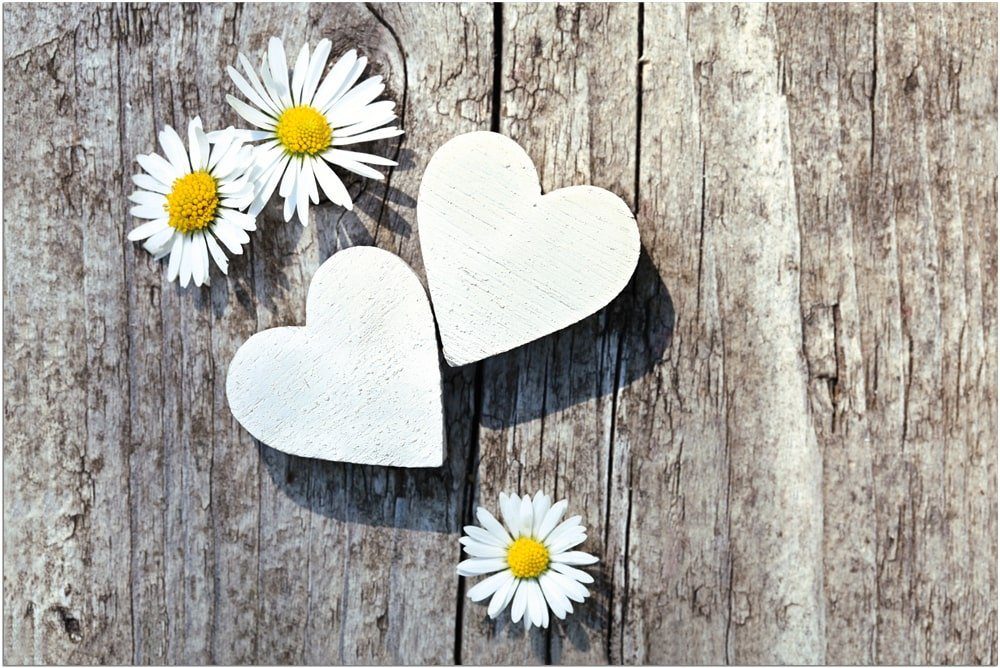 matches21 HOME & HOBBY Fußmatte Türmatte Blumen Herzen Landhaus in 40x60 cm als Fussabtreter, rechteckig, Höhe: 5 mm, Rutschfester Türvorleger für innen als waschbare Schmutzfangmatte