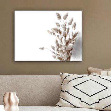 OneMillionCanvasses® Leinwandbild Pflanzen - Federn - Weiß, Beige, Weiß (1 St), Wandbild Leinwandbilder, Aufhängefertig, Wanddeko 40x30 cm