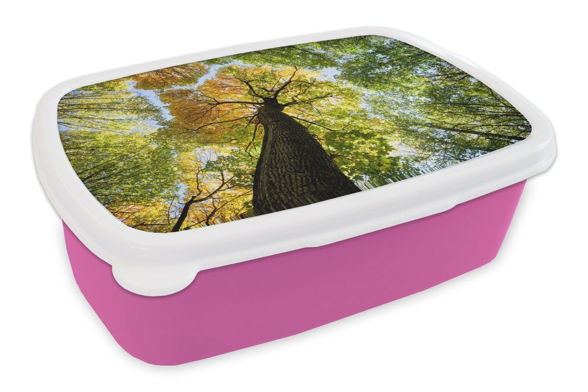 MuchoWow Lunchbox Baum - Natur - Wald, Kunststoff, (2-tlg), Brotbox für Erwachsene, Brotdose Kinder, Snackbox, Mädchen, Kunststoff rosa