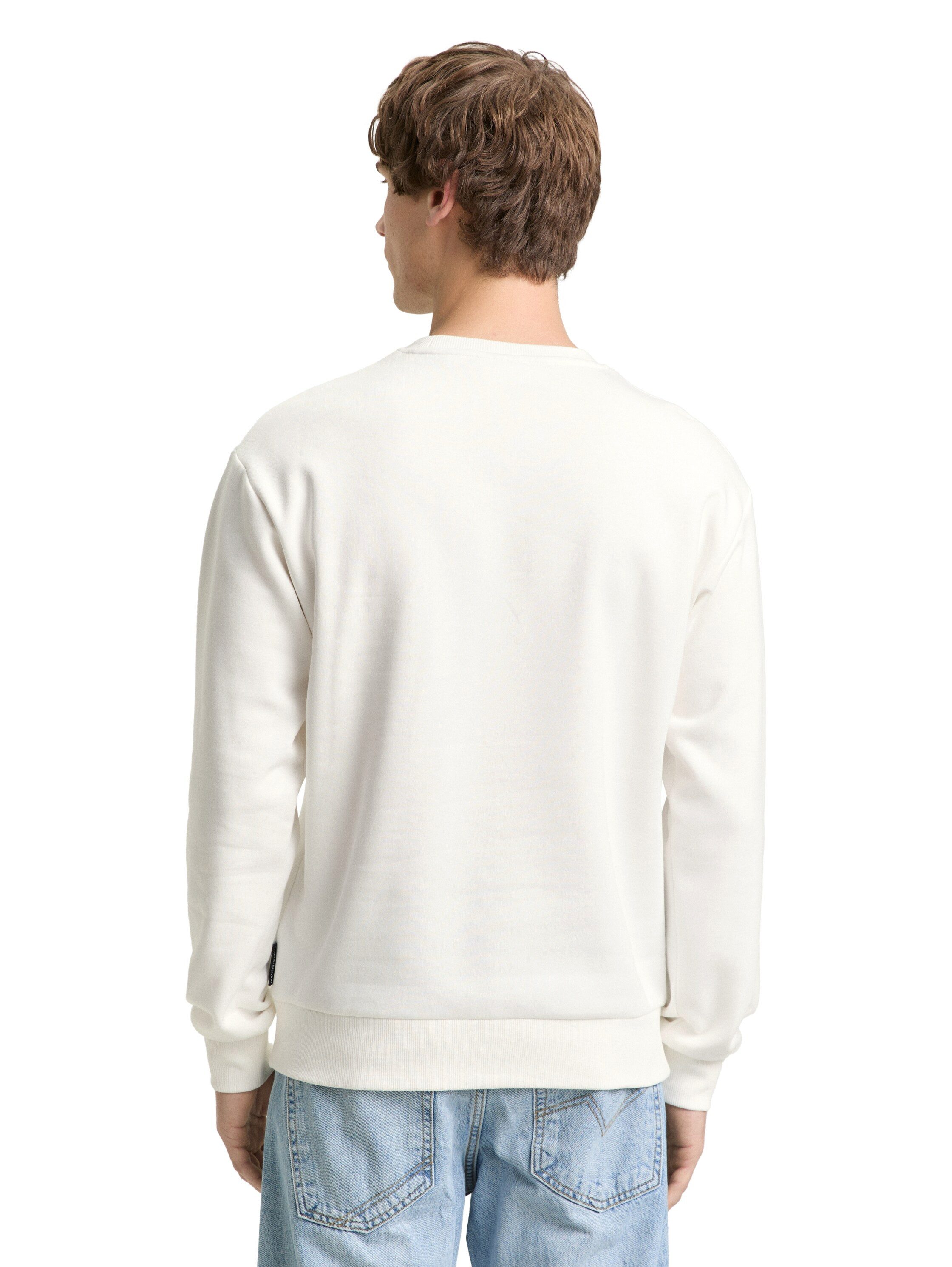 TOM TAILOR Denim Sweater mit Ski-Motiven bestickt