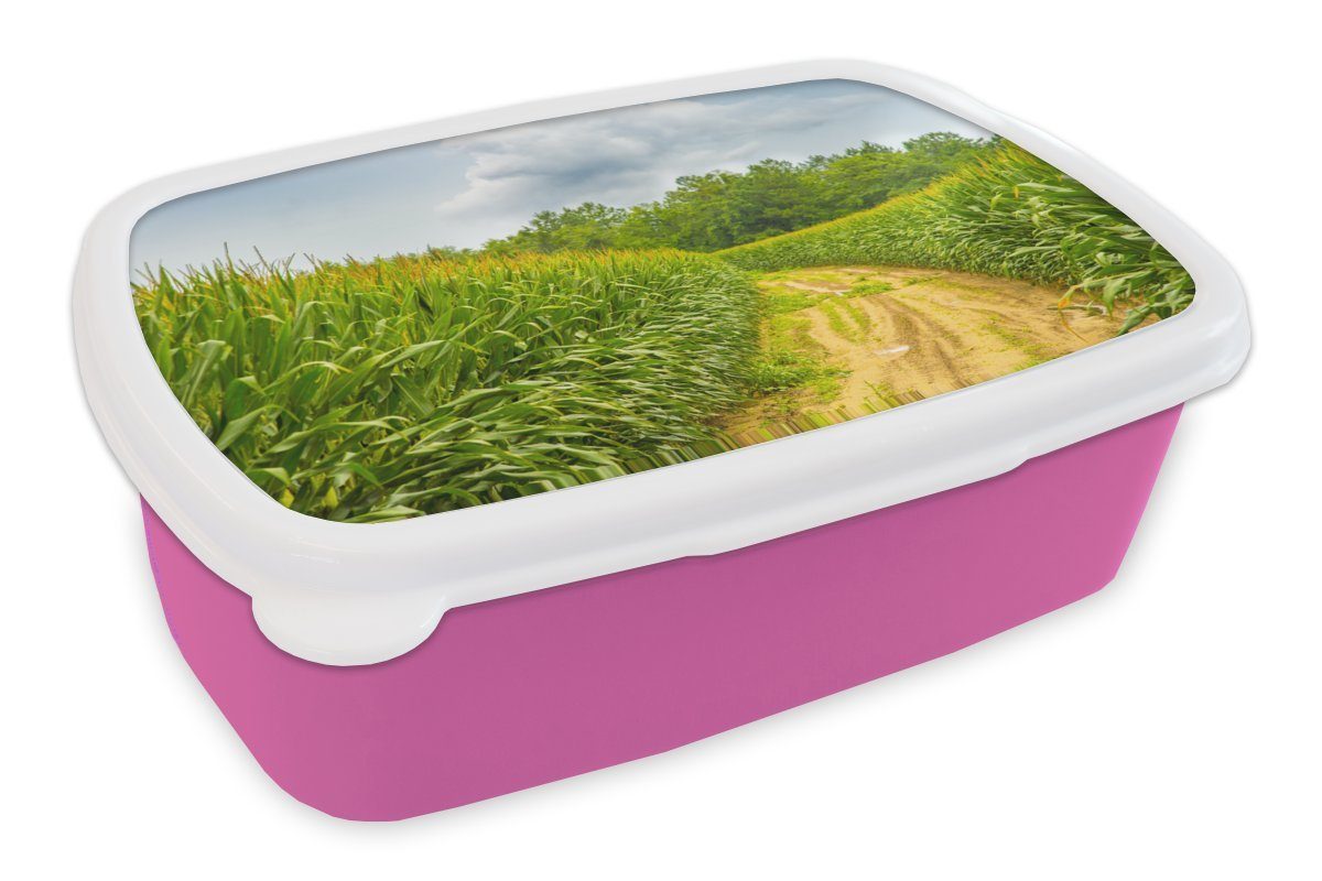 MuchoWow Lunchbox Dinkel - Getreide - Luft, Kunststoff, (2-tlg), Brotbox für Erwachsene, Brotdose Kinder, Snackbox, Mädchen, Kunststoff rosa | Lunchboxen