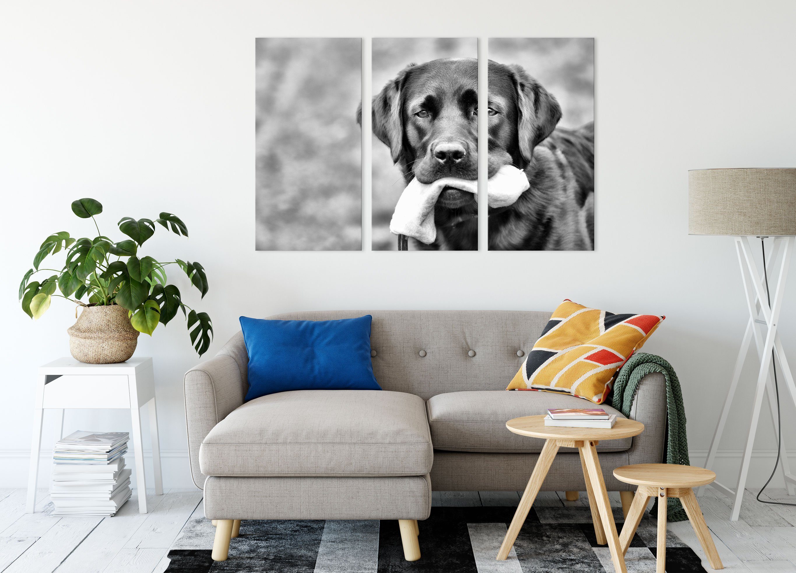 Leinwandbild Spielzeug Pixxprint inkl. Spielzeug, Labrador schwarzer 3Teiler Leinwandbild bespannt, schwarzer Labrador mit (1 St), (120x80cm) mit Zackenaufhänger fertig