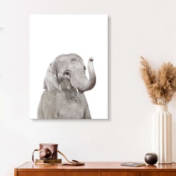 Posterlounge XXL-Wandbild Sisi And Seb, Babyelefant, Jungenzimmer Fotografie