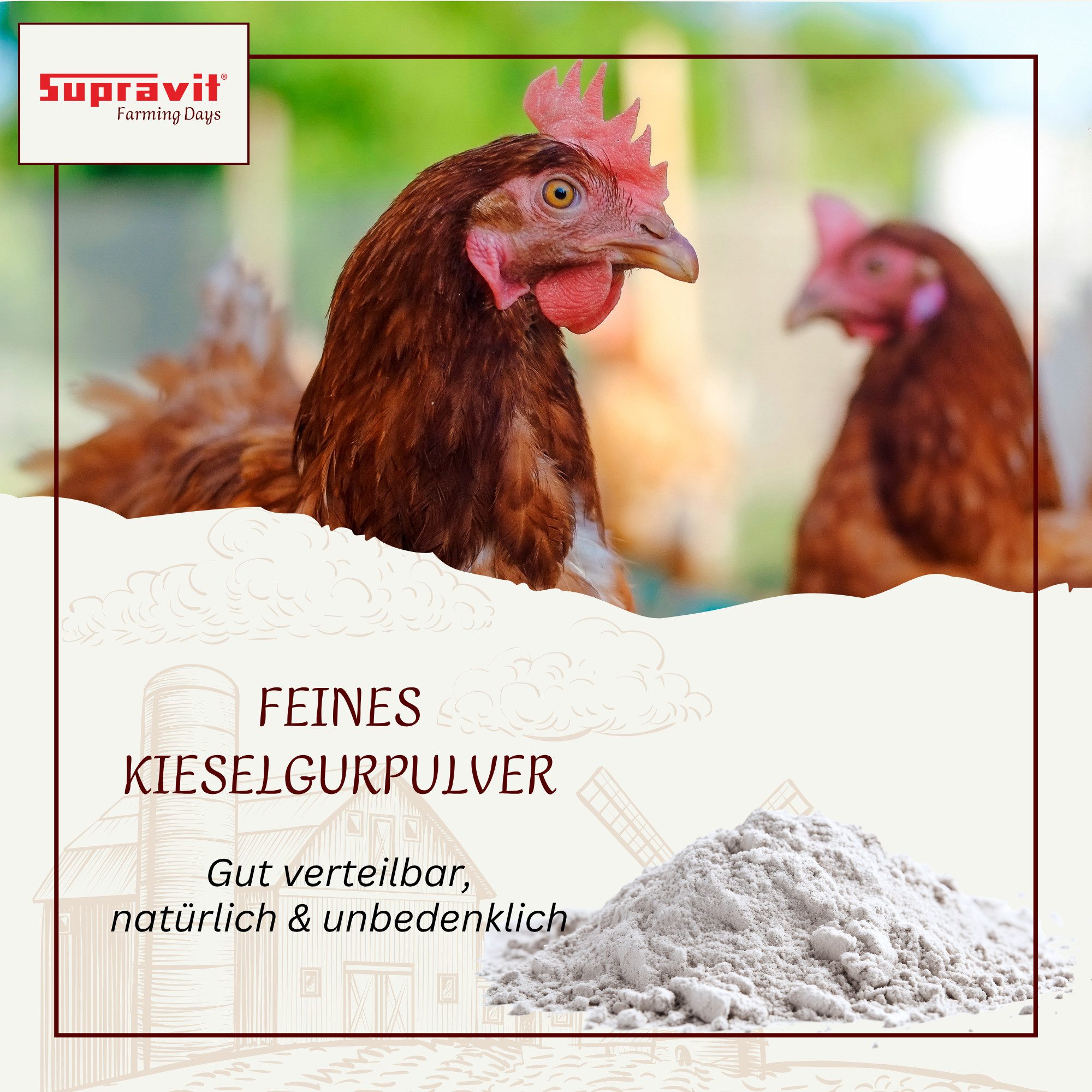 Supravit Kieselgur Einstreu Hühnerstall Mineralisches Diatomeenerde Hühner, Ergänzungsfutter für: Nutz-/ Wildtier