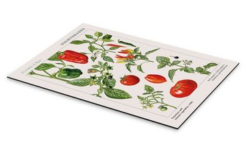 Posterlounge Alu-Dibond-Druck Elizabeth Rice, Tomaten und andere Nachtschattengewächse, 1986, Küche Vintage Malerei