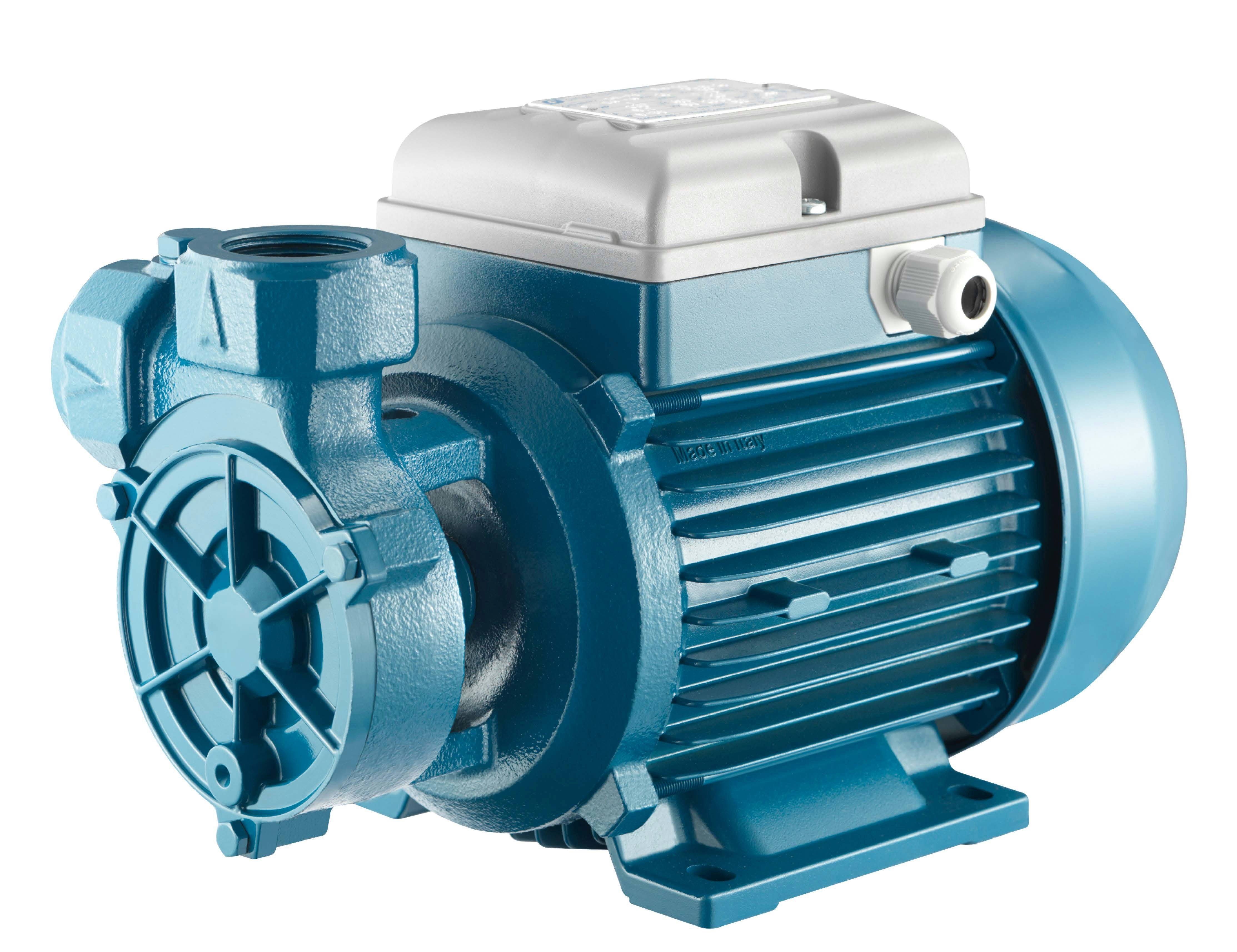 Foras Pump Gartenpumpe Peripheralpumpe PL100T made in Italy Antiblockierfunktion 400V 0.74kW