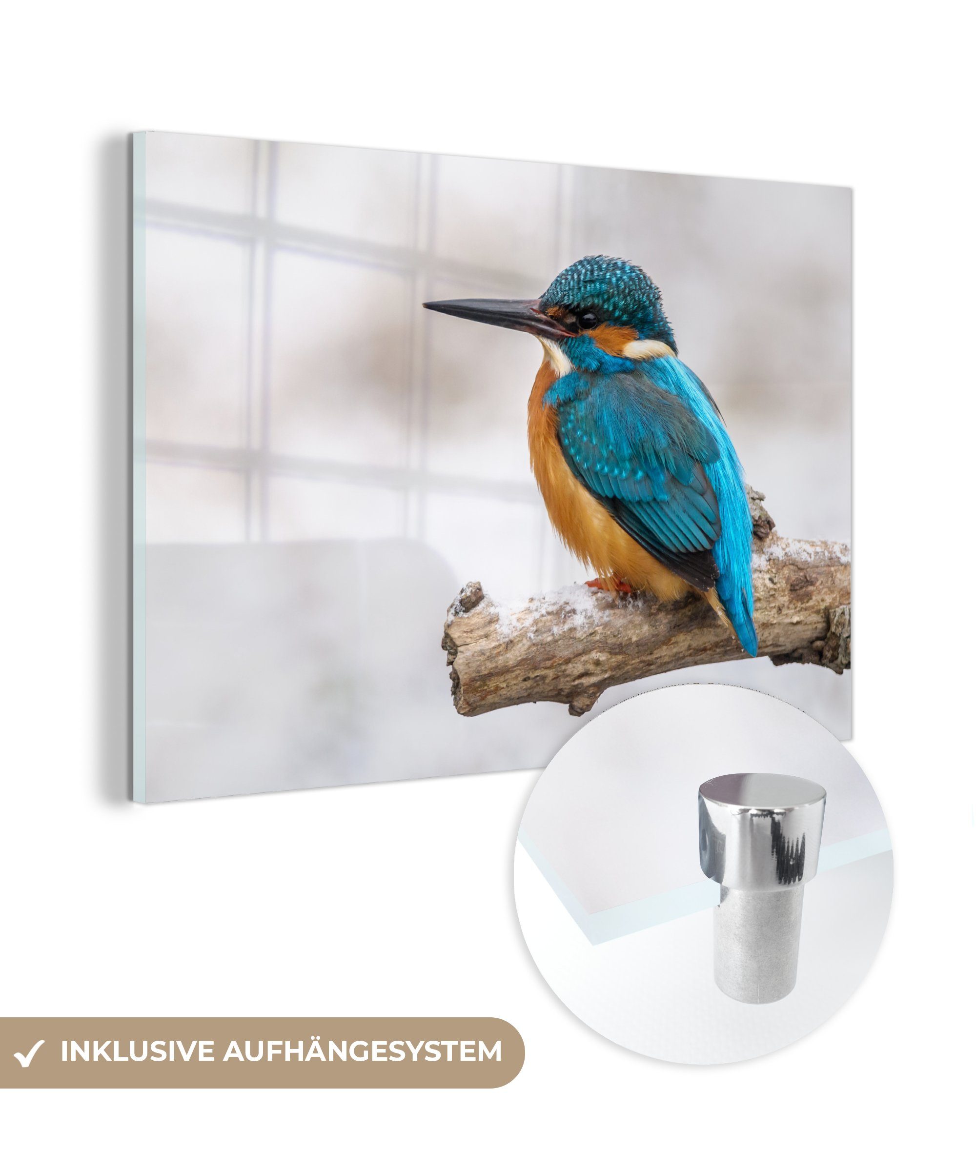 MuchoWow Acrylglasbild Eisvogel - Winter - Zweige, (1 St), Acrylglasbilder Wohnzimmer & Schlafzimmer