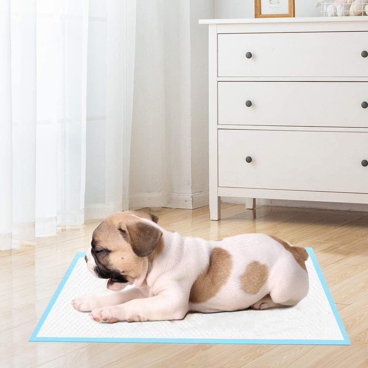 COSTWAY Hundematte Welpenunterlage, Puppy Pads günstig online kaufen