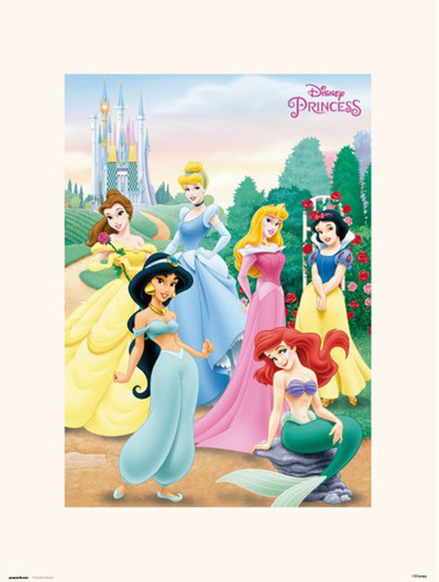Kunstdruck Disney - Kunstdruck - Princess Pose