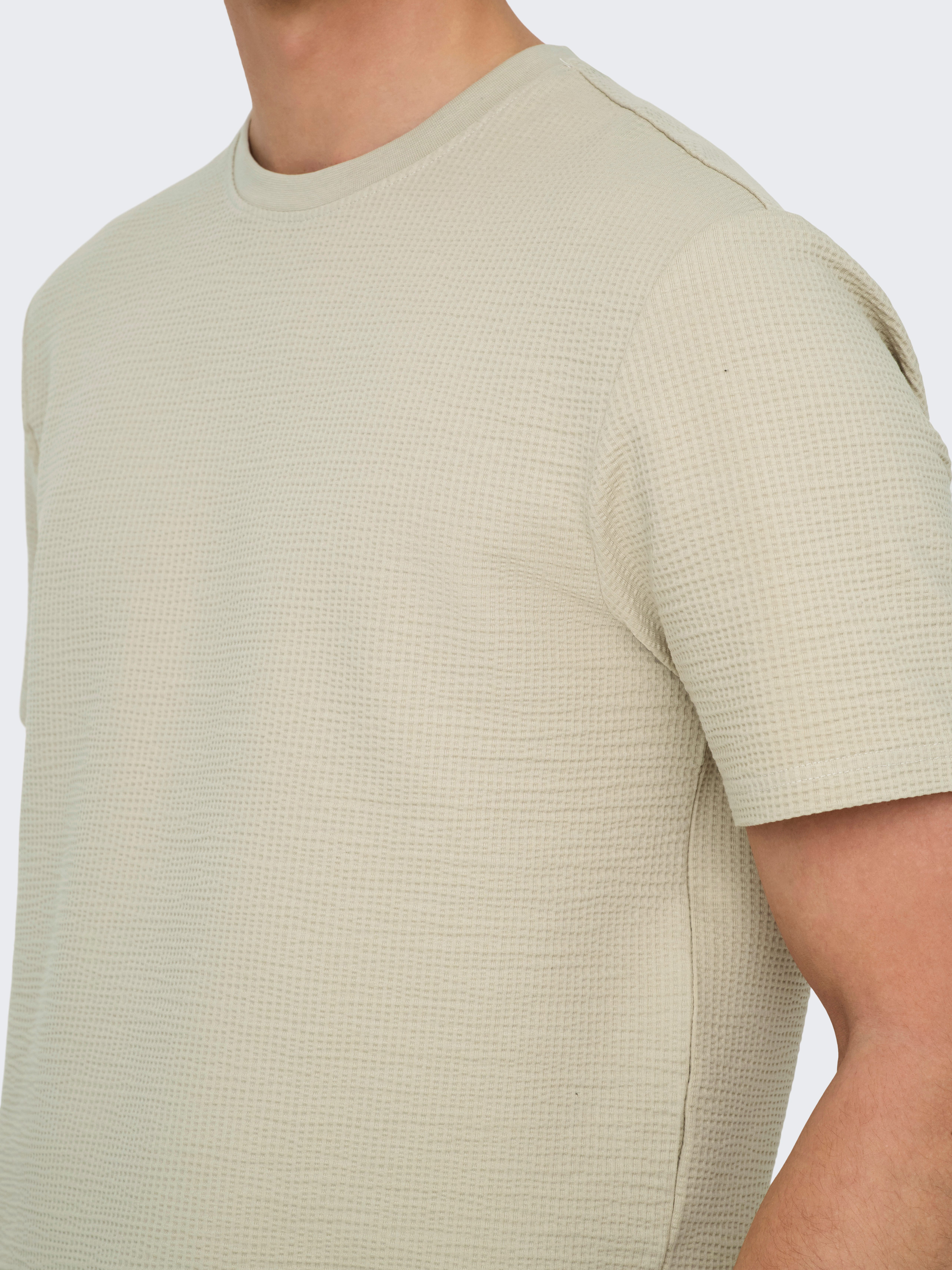 ONLY & SONS Rundhalsshirt ONSKIAN LIFE REG SEERSUCKER SS TEE NOOS