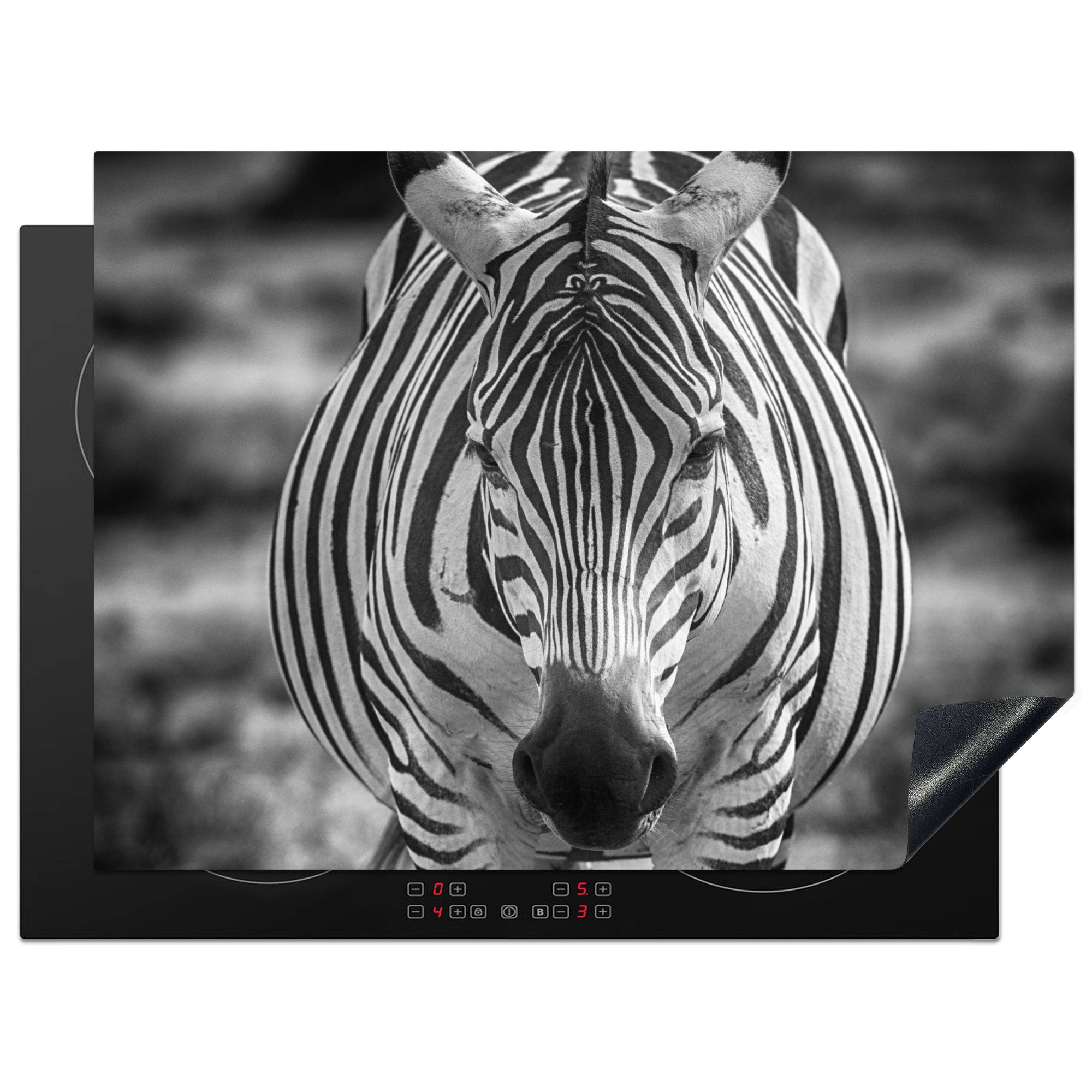 tlg), Gras, MuchoWow Zebra Herdblende-/Abdeckplatte im Mobile nutzbar, cm, Vinyl, Arbeitsfläche Ceranfeldabdeckung (1 70x52
