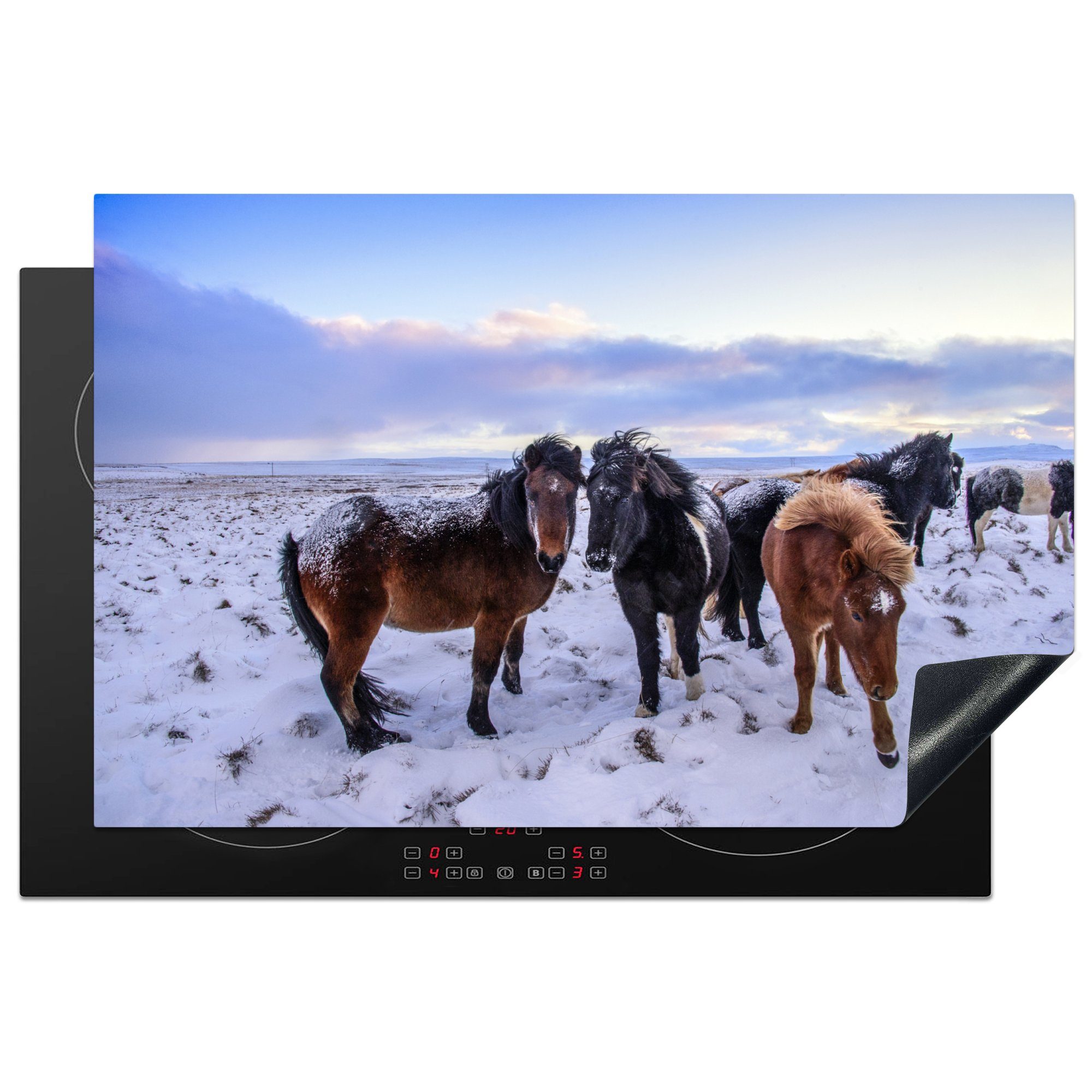 MuchoWow Herdblende-/Abdeckplatte Pferde - die cm, 81x52 Schutz (1 - Ceranfeldabdeckung Induktionskochfeld Vinyl, Schnee küche, - tlg), Wiese für Winter