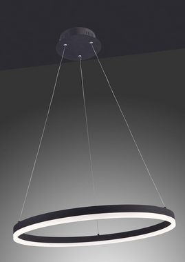 Paul Neuhaus Pendelleuchte TITUS, Dimmfunktion, LED fest integriert, Warmweiß, stufenlos dimmbar, fest integrierte LED, Memoryfunktion, Ø 60 cm