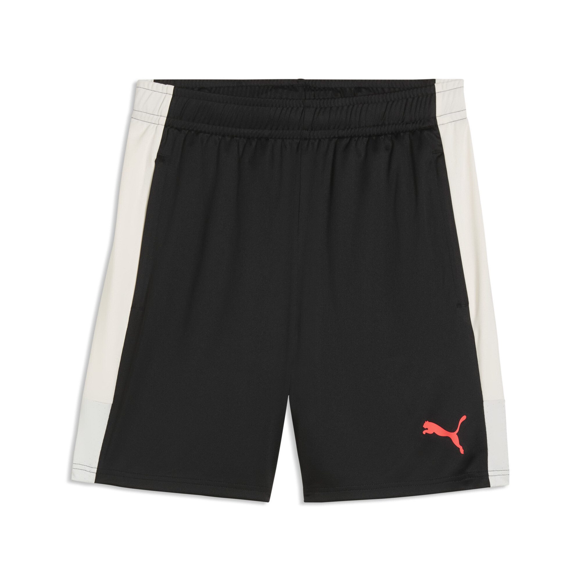 PUMA Sporthose IndividualLIGA Trainingsshorts Herren