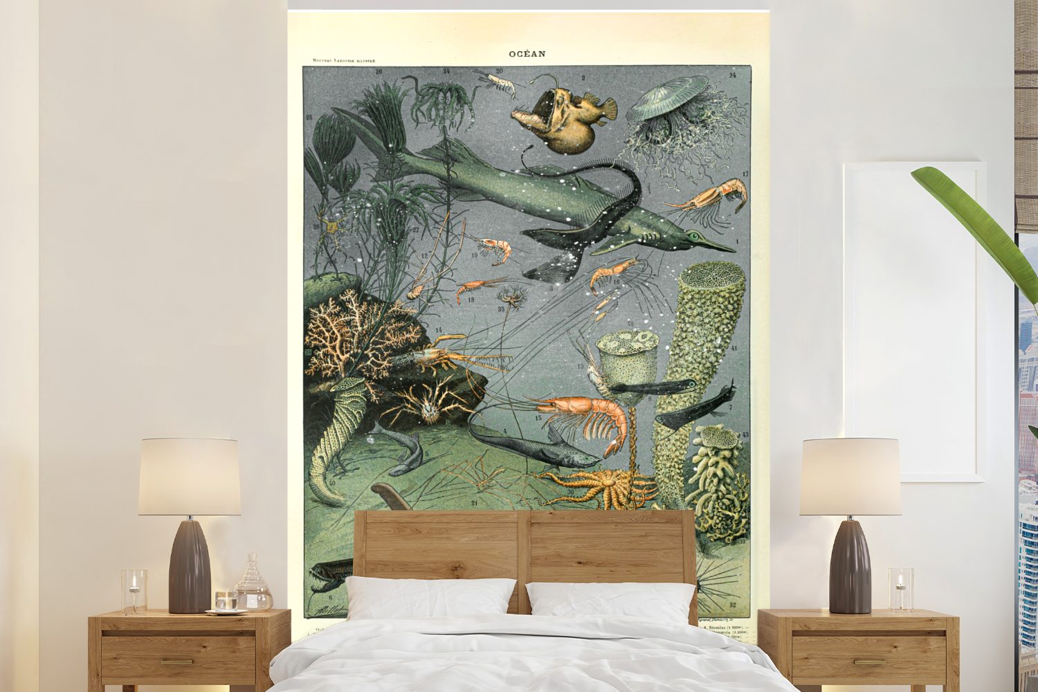 MuchoWow Fototapete Meerestiere - Korallen - Natur, Matt, bedruckt, (3 St), Montagefertig Vinyl Tapete für Wohnzimmer, Wandtapete