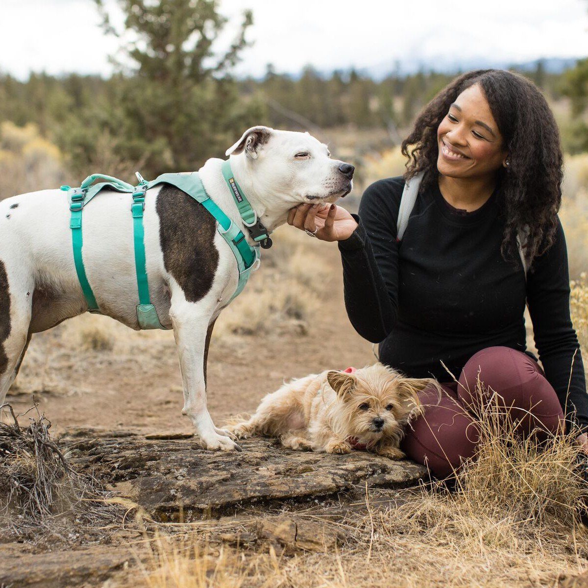 Ruffwear Hunde-Halsband Hundehalsband Hi & Light Sage Green