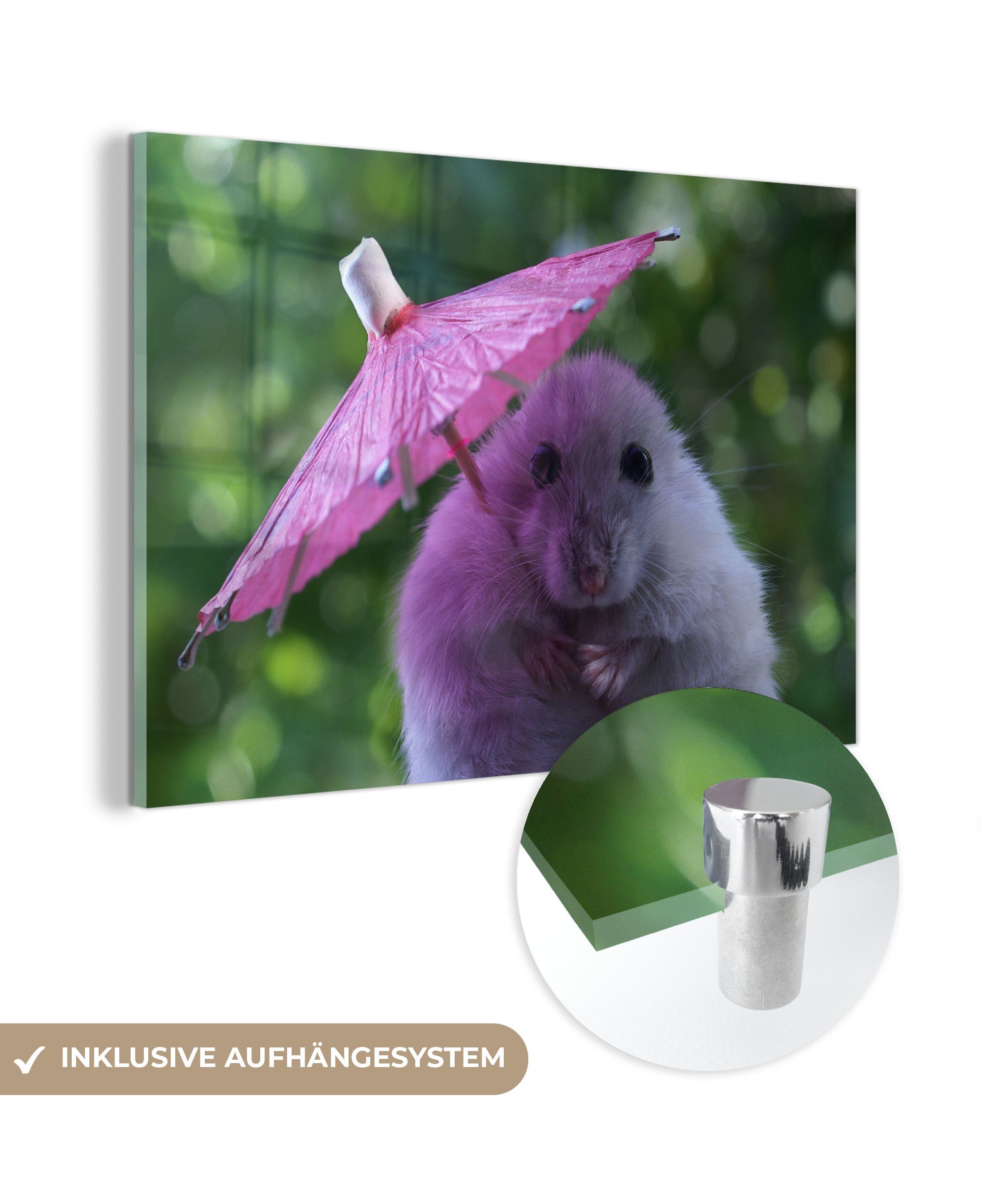 mit Hamster & Acrylglasbild rosa Wohnzimmer Schlafzimmer St), Sonnenschirm, (1 MuchoWow Acrylglasbilder