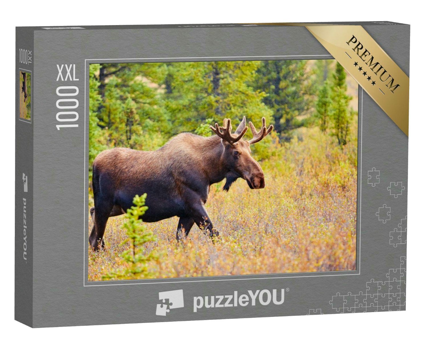 puzzleYOU Puzzle Elch, Denali-Nationalpark, Alaska, USA, 1000 Puzzleteile, puzzleYOU-Kollektionen Elche, Tiere in Wald & Gebirge