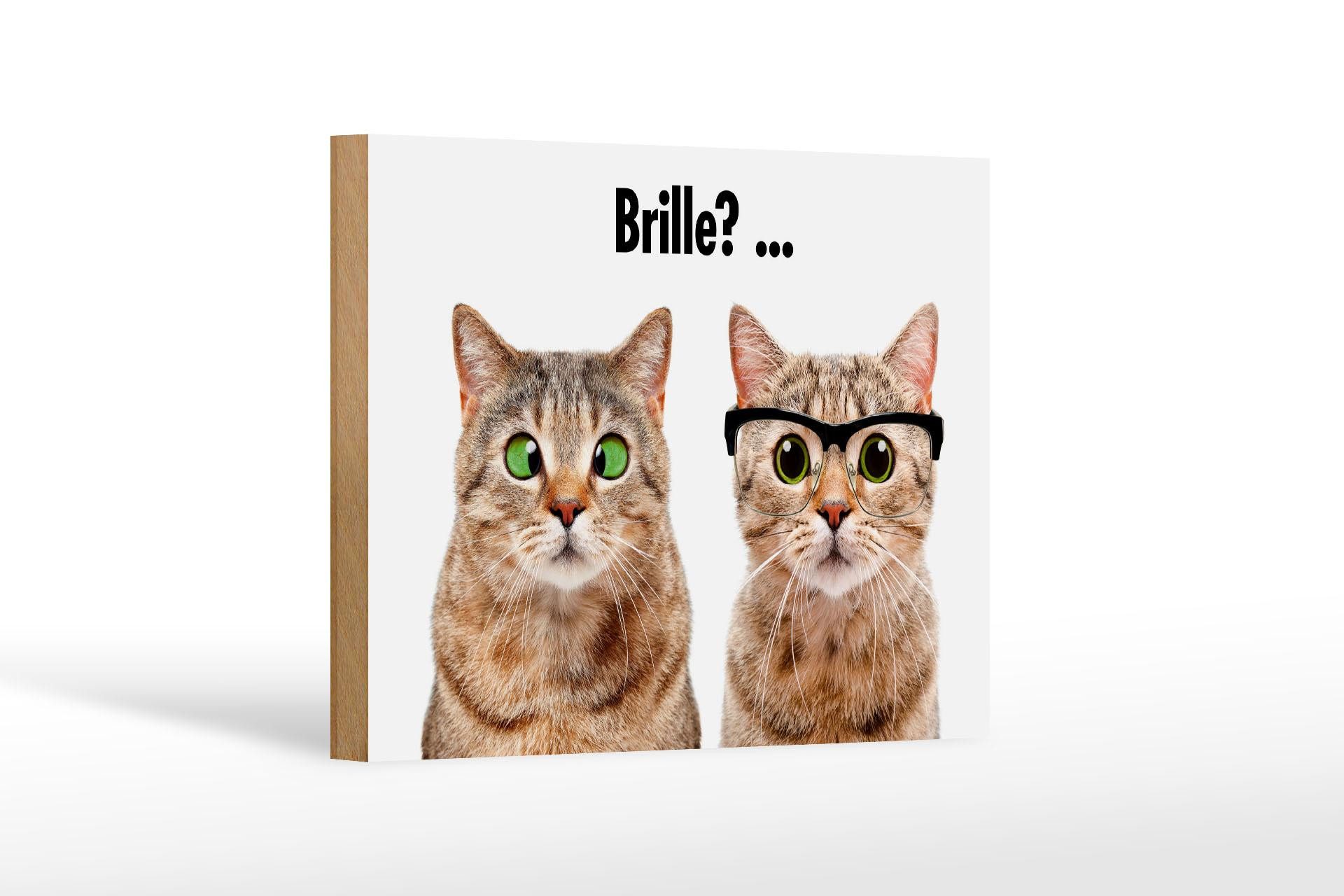 Femer GmbH Holzbild Tiere 12x18 cm Katzen mit und ohne Brille, (1 St), Glatte Holzfaserplatte (MDF), vorn beschichtet