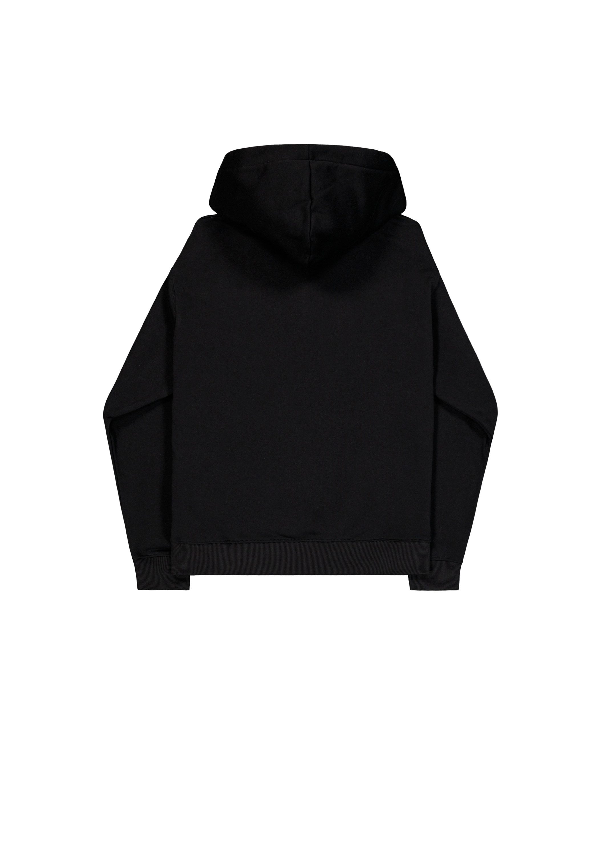 Alpha Industries Hoodie DTM Alpha Hoodie