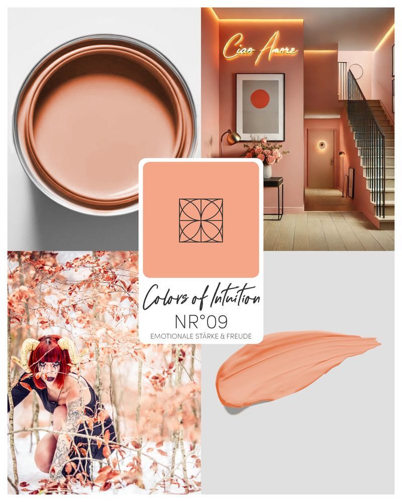 PNZ - Die Manufaktur Wandfarbe COLORS OF INTUITION, reine Silikatfarbe, hochdeckend