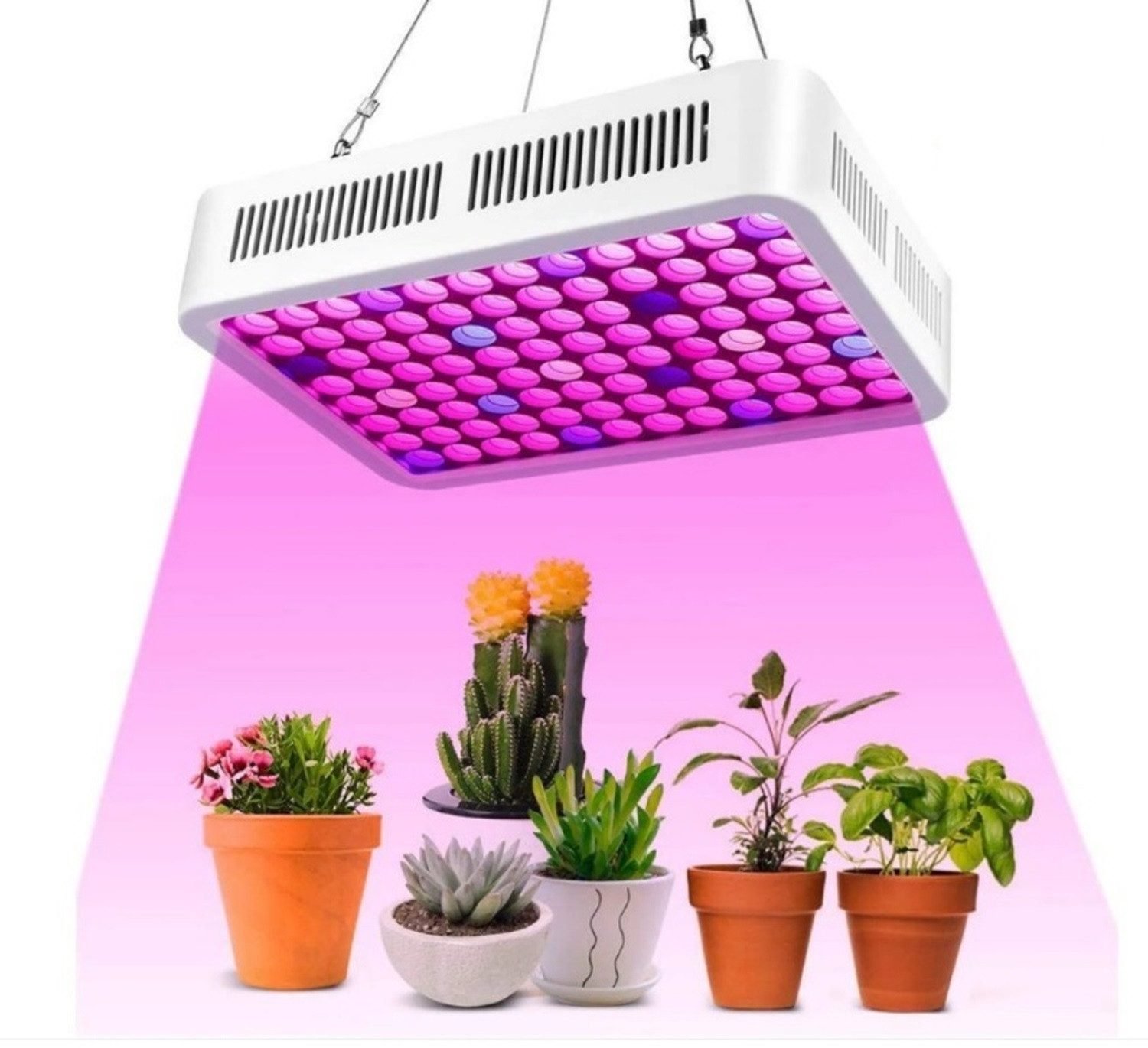 DOPWii Pflanzenlampe 256 LEDs,IP20,295x295x30mm,Pflanzenlicht für Gewächshä günstig online kaufen