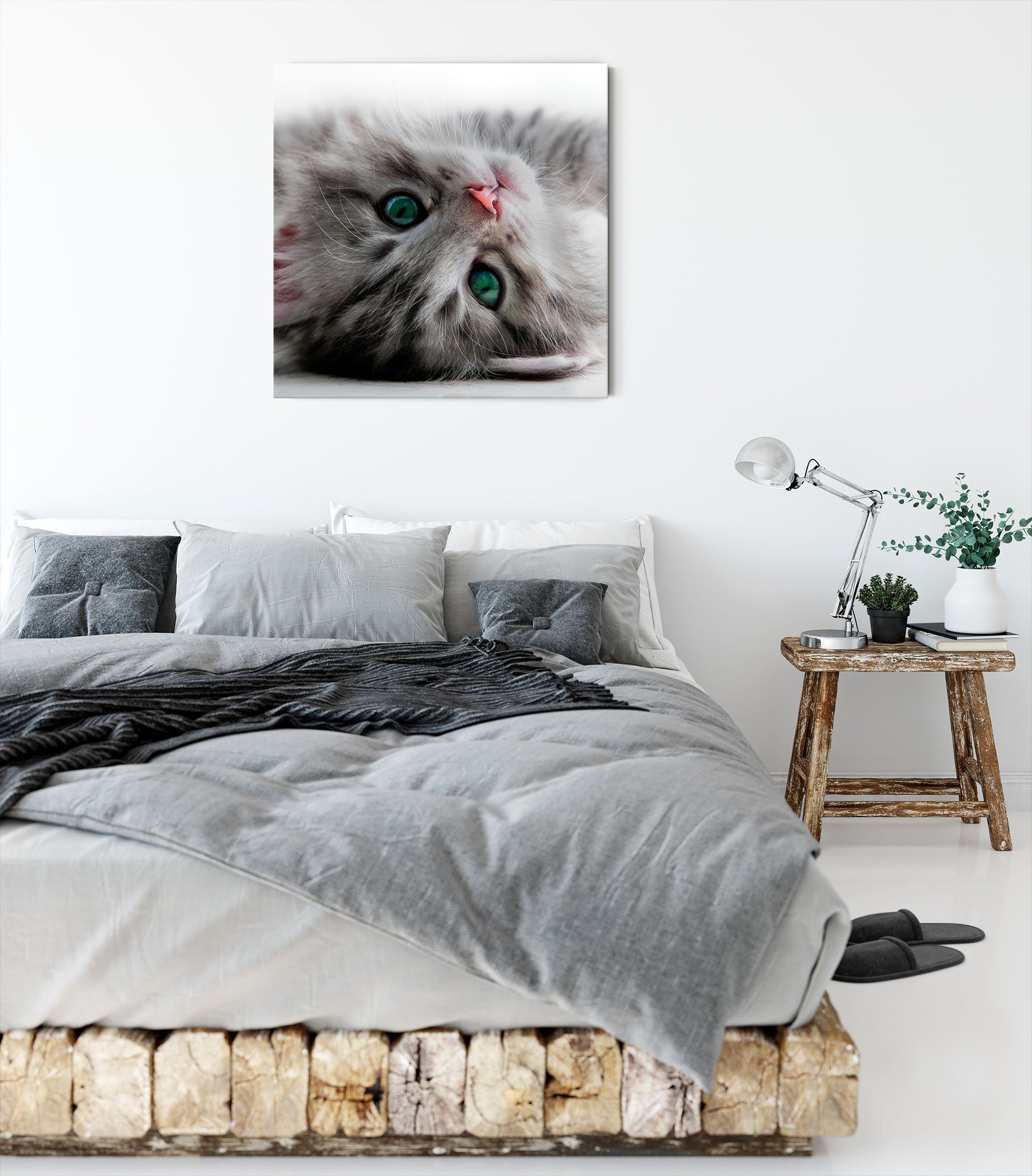 Katzenbaby, inkl. St), Leinwandbild Zackenaufhänger Süßes (1 Pixxprint fertig Süßes Leinwandbild bespannt, Katzenbaby
