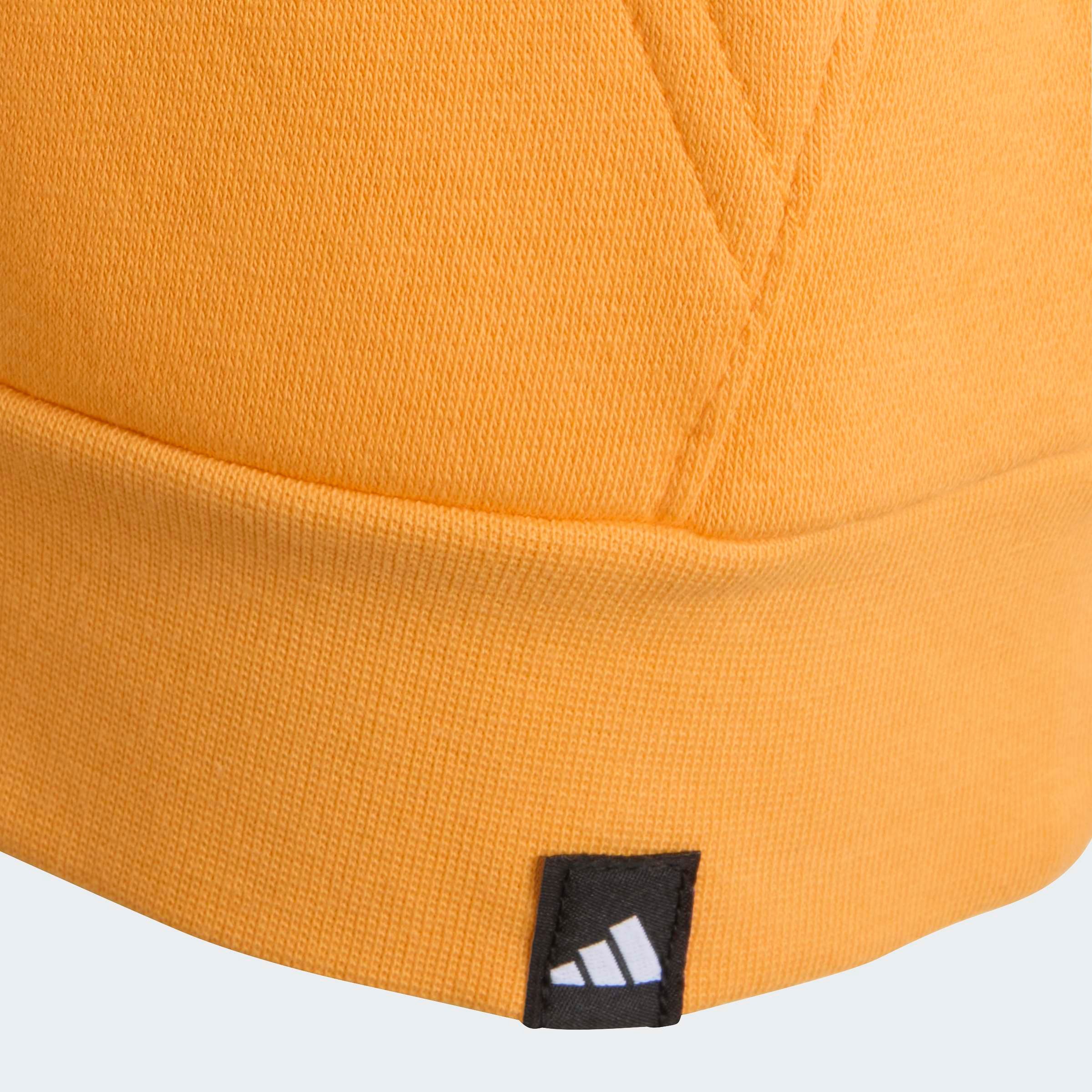 adidas TERREX Kapuzensweatshirt K MT LOGO HD