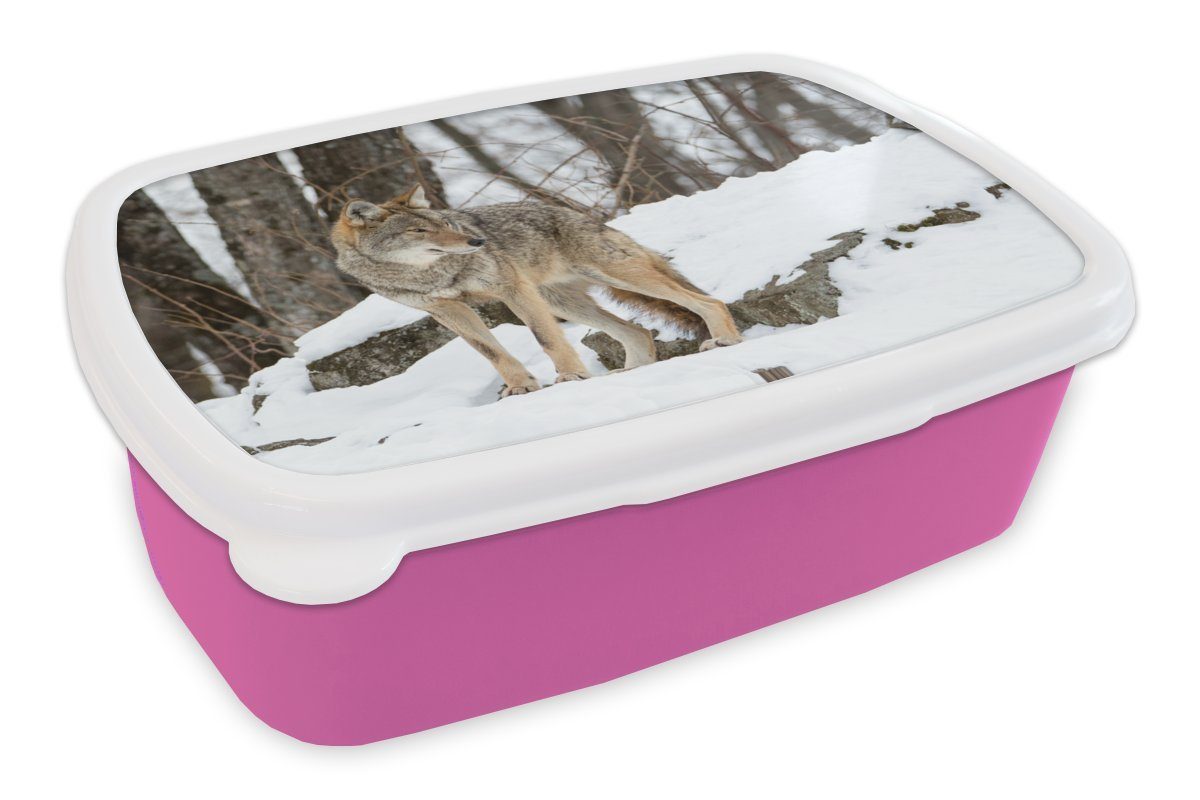 MuchoWow Lunchbox Wolf - Schnee - Wald, Kunststoff, (2-tlg), Brotbox für Erwachsene, Brotdose Kinder, Snackbox, Mädchen, Kunststoff rosa