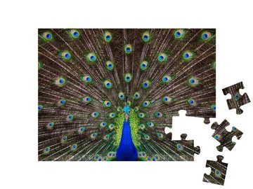 puzzleYOU Puzzle Porträt eines Pfaus mit ausgefahrenen Federn, 48 Puzzleteile, puzzleYOU-Kollektionen Pfauen, Tiere in Dschungel & Regenwald