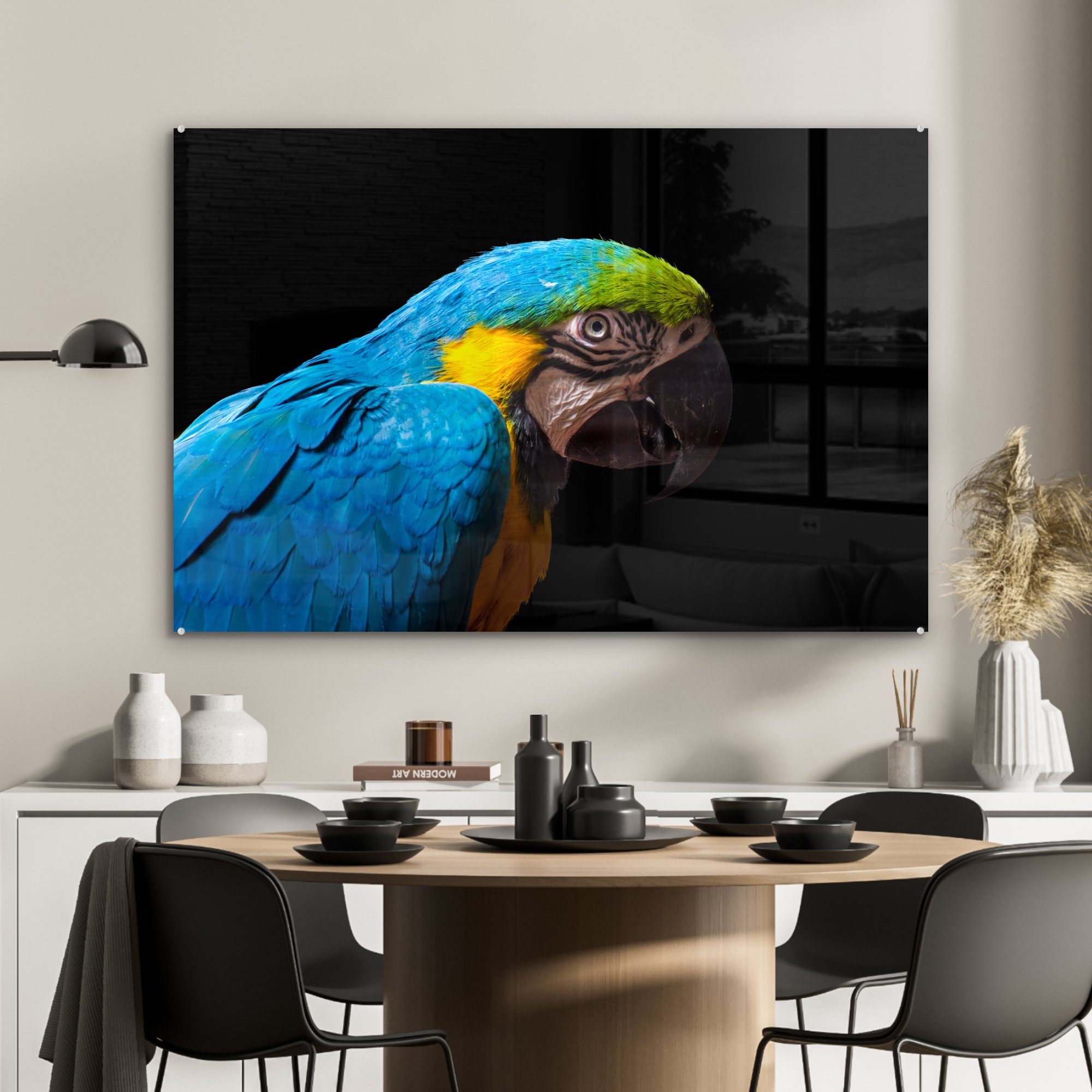 auf Blauer Acrylglasbilder Wohnzimmer Papagei schwarzem Schlafzimmer Ara MuchoWow Acrylglasbild & Hintergrund, St), (1