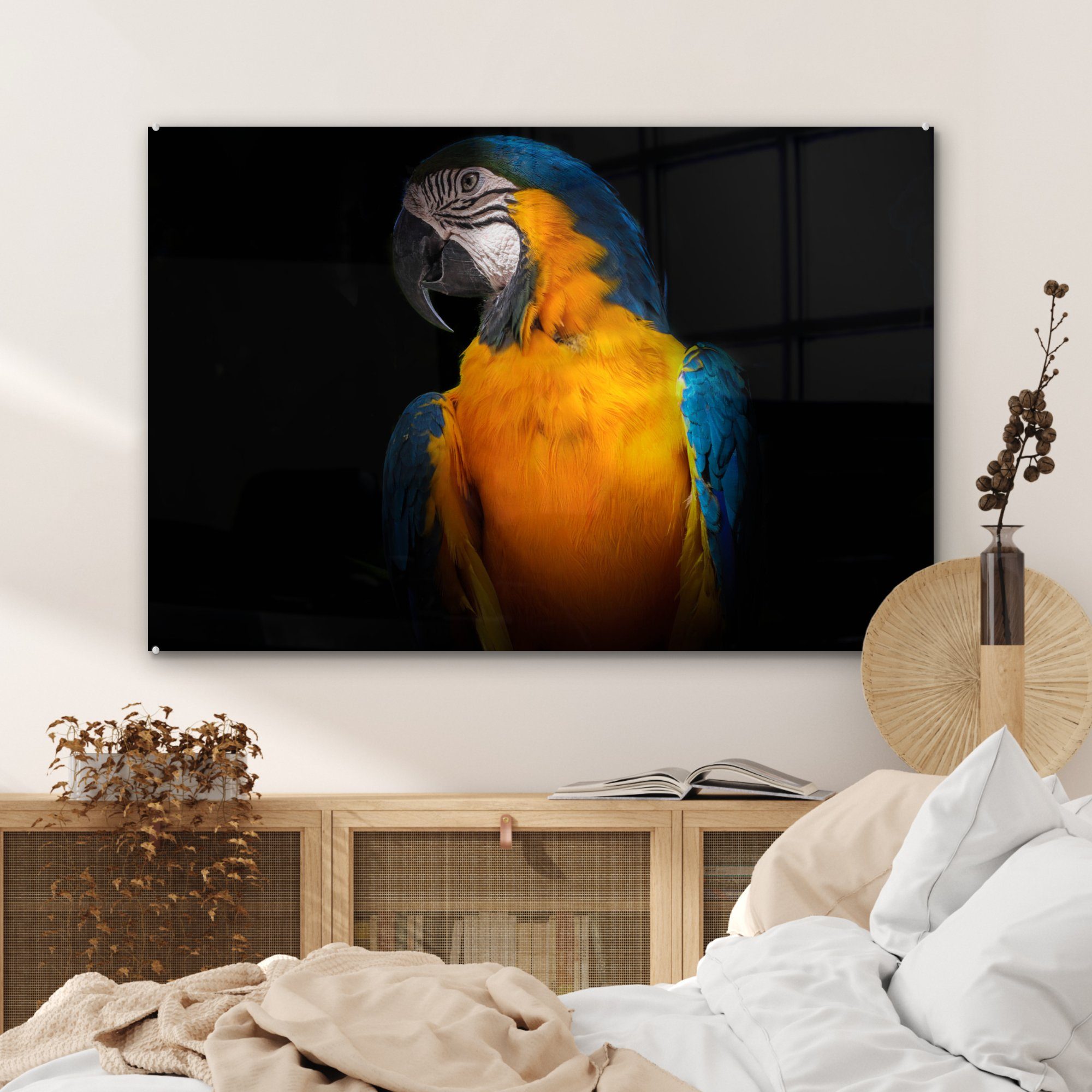 St), Acrylglasbilder & (1 Tiere MuchoWow - - Schlafzimmer Vogel, Acrylglasbild Papagei Wohnzimmer