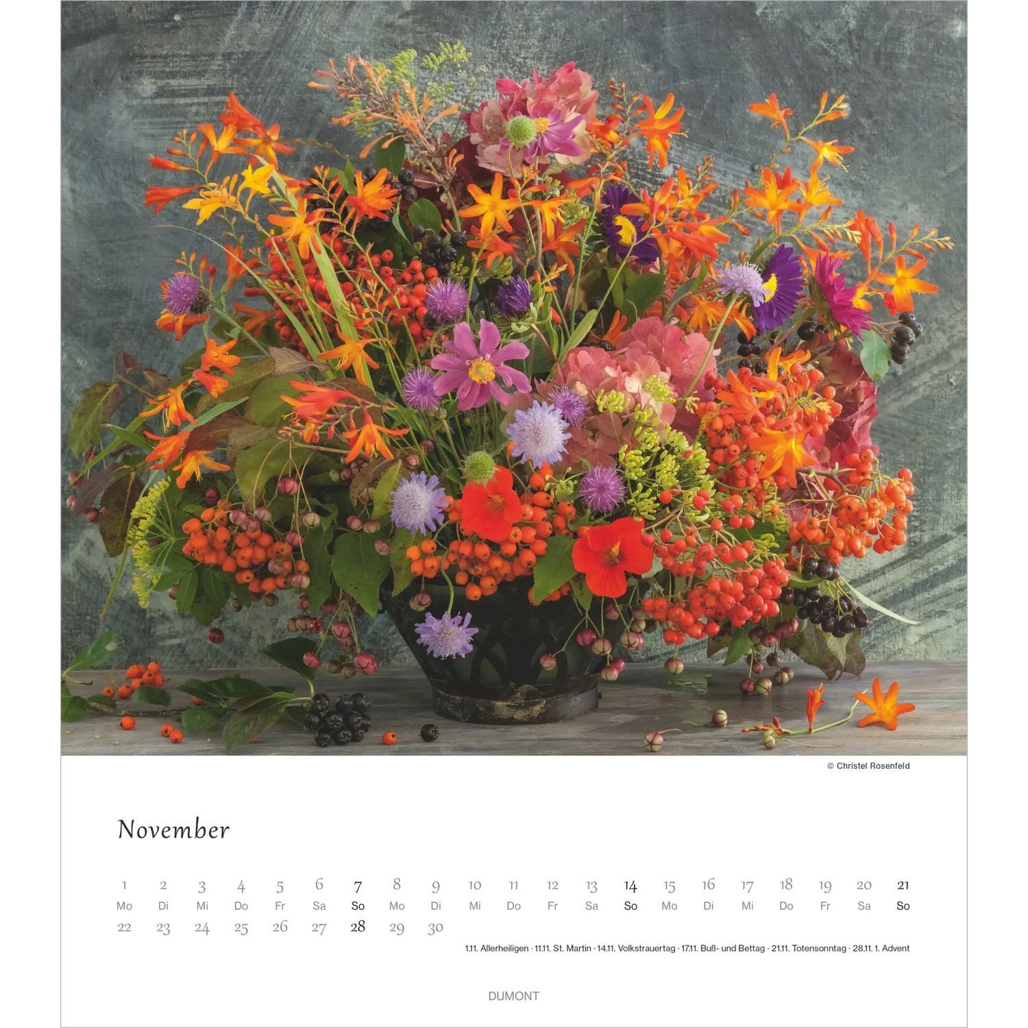 NEUMANN Wandkalender Blumenliebe 2027