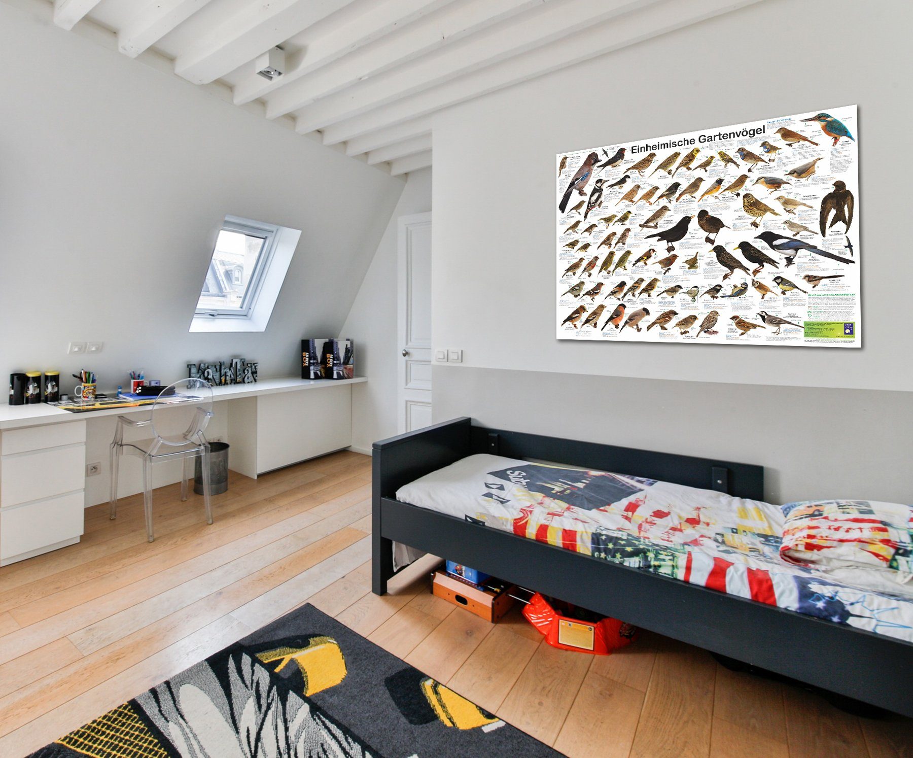 Close Up Poster Einheimische Gartenvögel Poster deutsch DIN A1 84,1 x 59,4