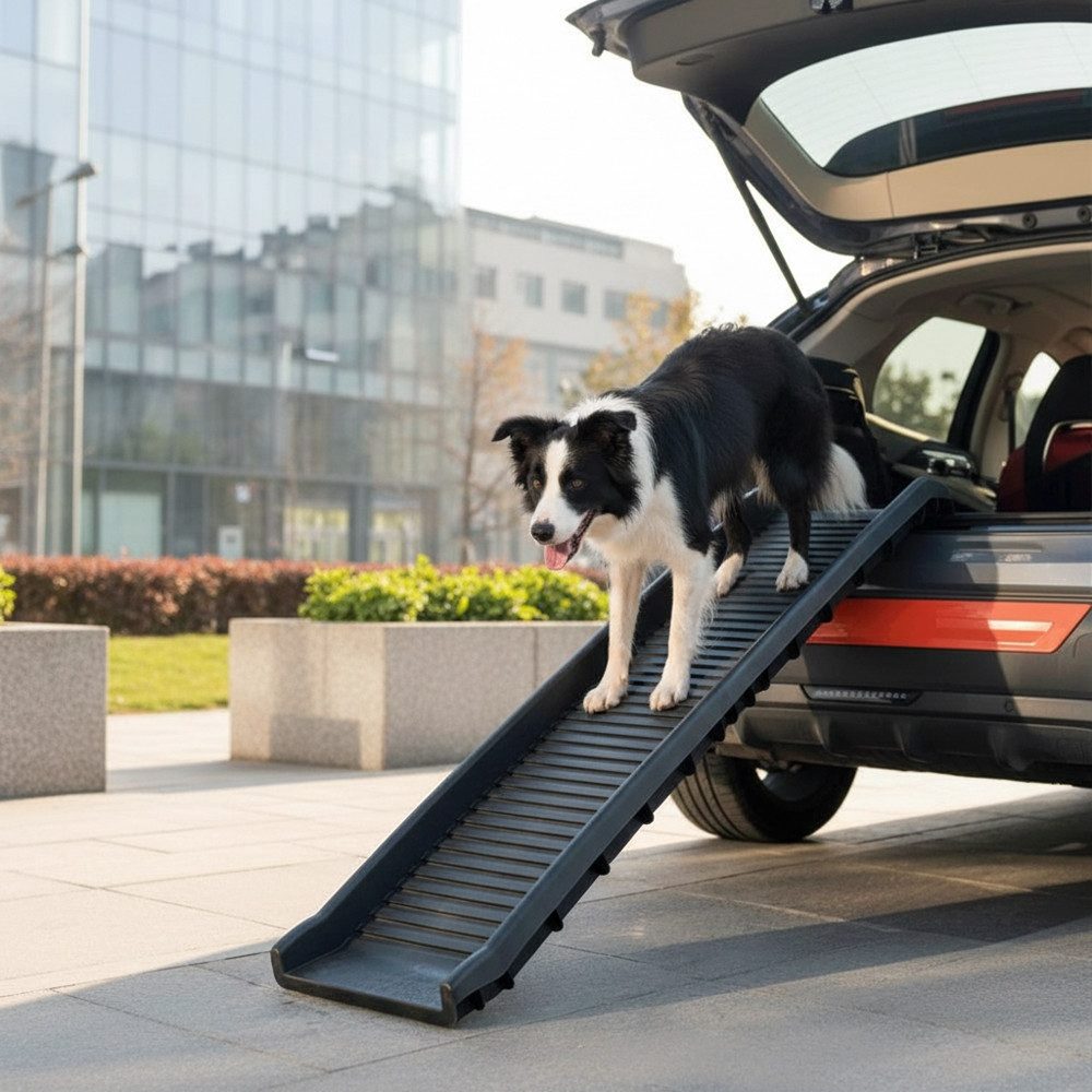 Feel2Home Hunderampe Hunderampe klappbar max 90KG Teleskop in schwarz Einstiegshilfe, belastbar bis 90 kg