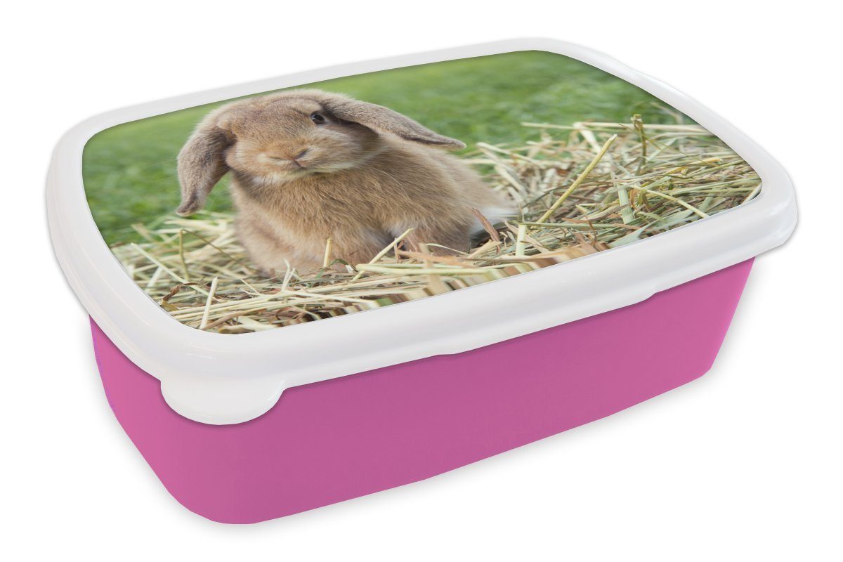 MuchoWow Lunchbox Kaninchen - Stroh - Tier, Kunststoff, (2-tlg), Brotbox für Erwachsene, Brotdose Kinder, Snackbox, Mädchen, Kunststoff rosa