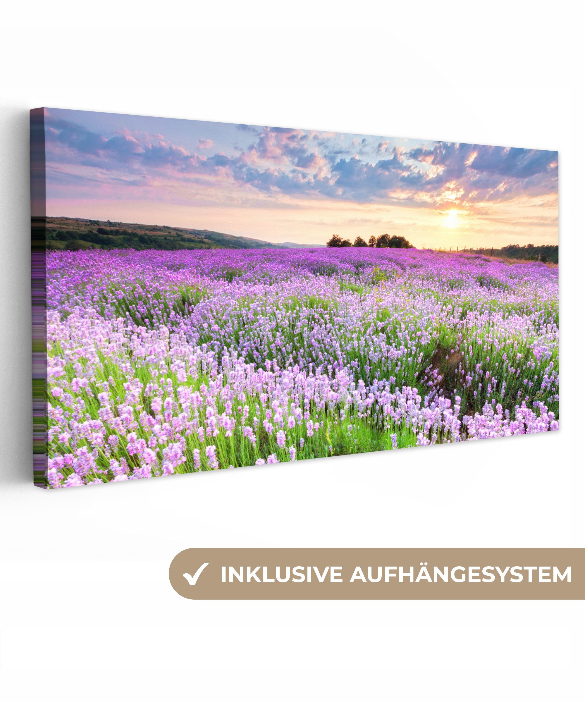 OneMillionCanvasses® Leinwandbild Panorama Blumen - Lavendel - Lila - Himmel - Sonnenuntergang - Wiese -, Fotodruck (1 St), Wandbild, Deko Schlafzimmer Wohnzimmer Flur 40x20 cm