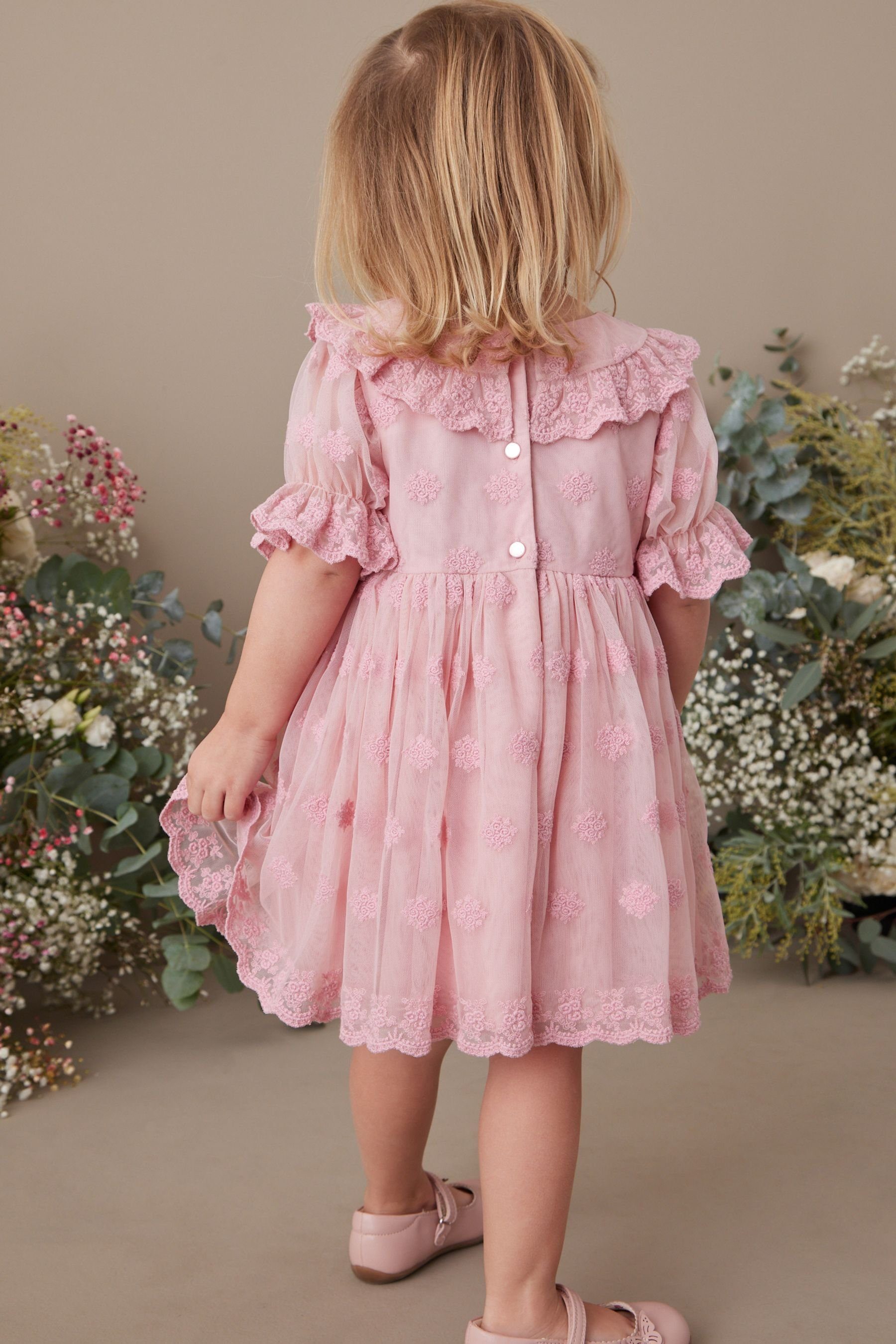 Next Spitzenkleid (1-tlg) Partykleid für besondere Anlässe Pink