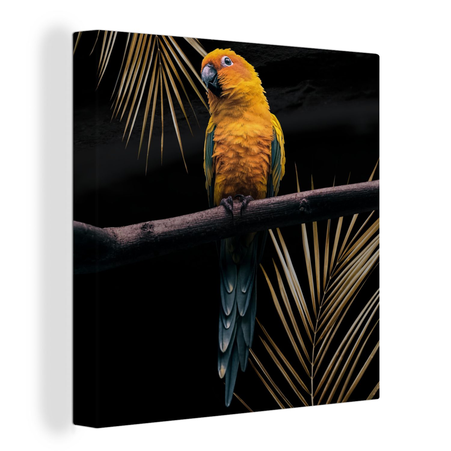 OneMillionCanvasses® Leinwandbild Vogel - Papagei - Zweig - Farn, (1 St), Leinwand Bilder für Wohnzimmer Schlafzimmer bunt