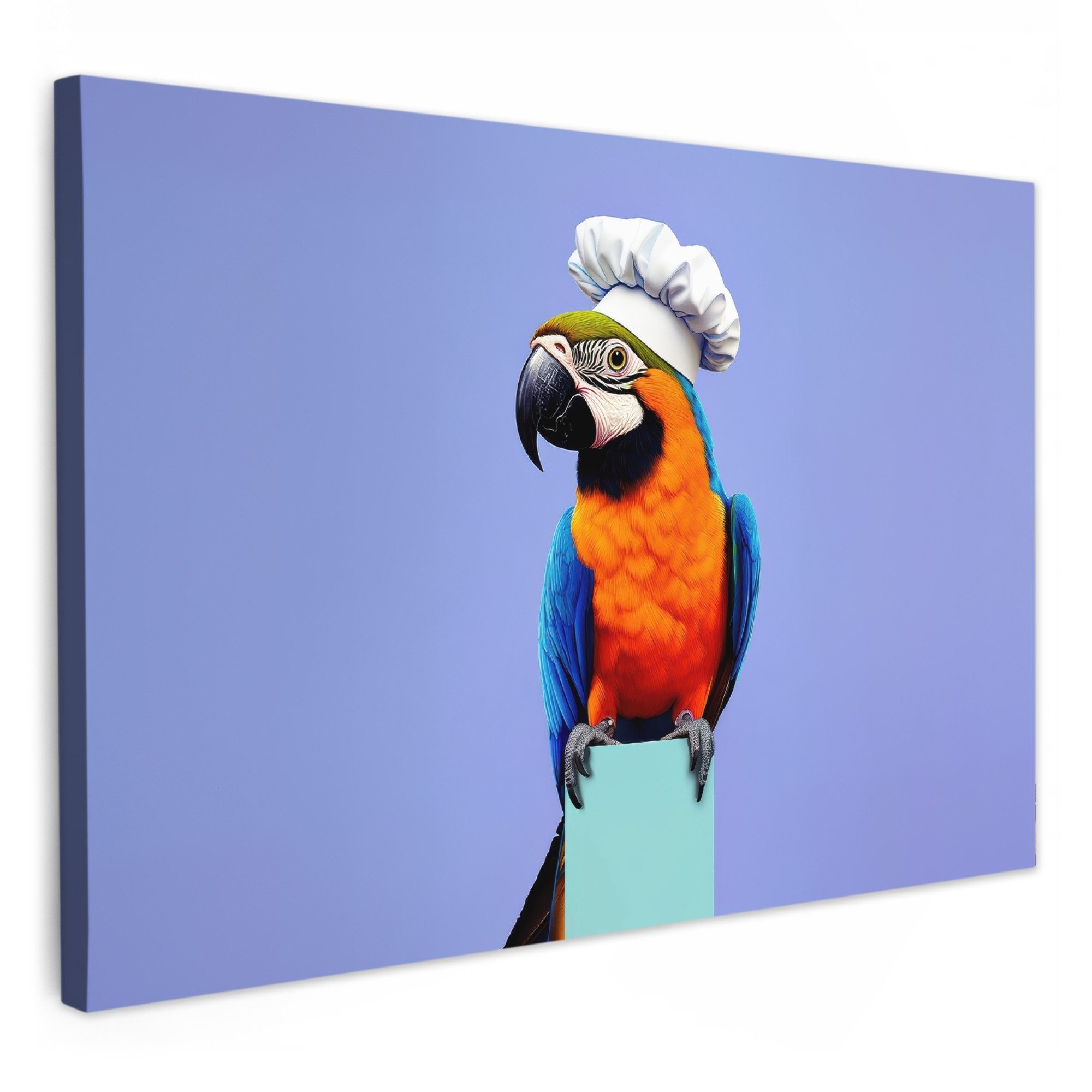 OneMillionCanvasses® Leinwandbild Papagei - Kochmütze - günstig online kaufen