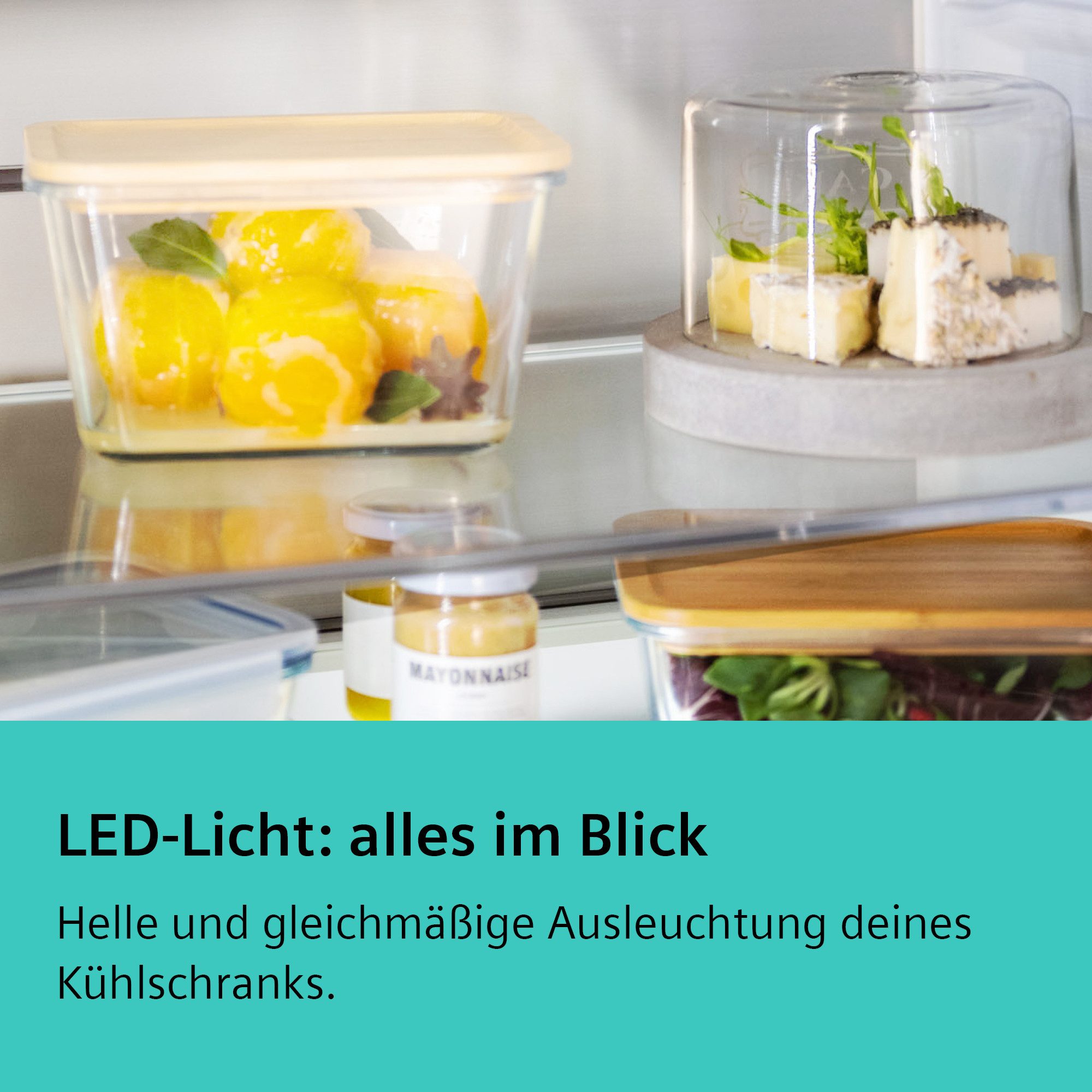 SIEMENS Einbaukühlschrank iQ300 KI32LVFE0, 102,1 cm hoch, 54,1 cm breit, Einfache Temperatureinstellung dank elektronischer Temperaturregelung – Bild 2 von 5