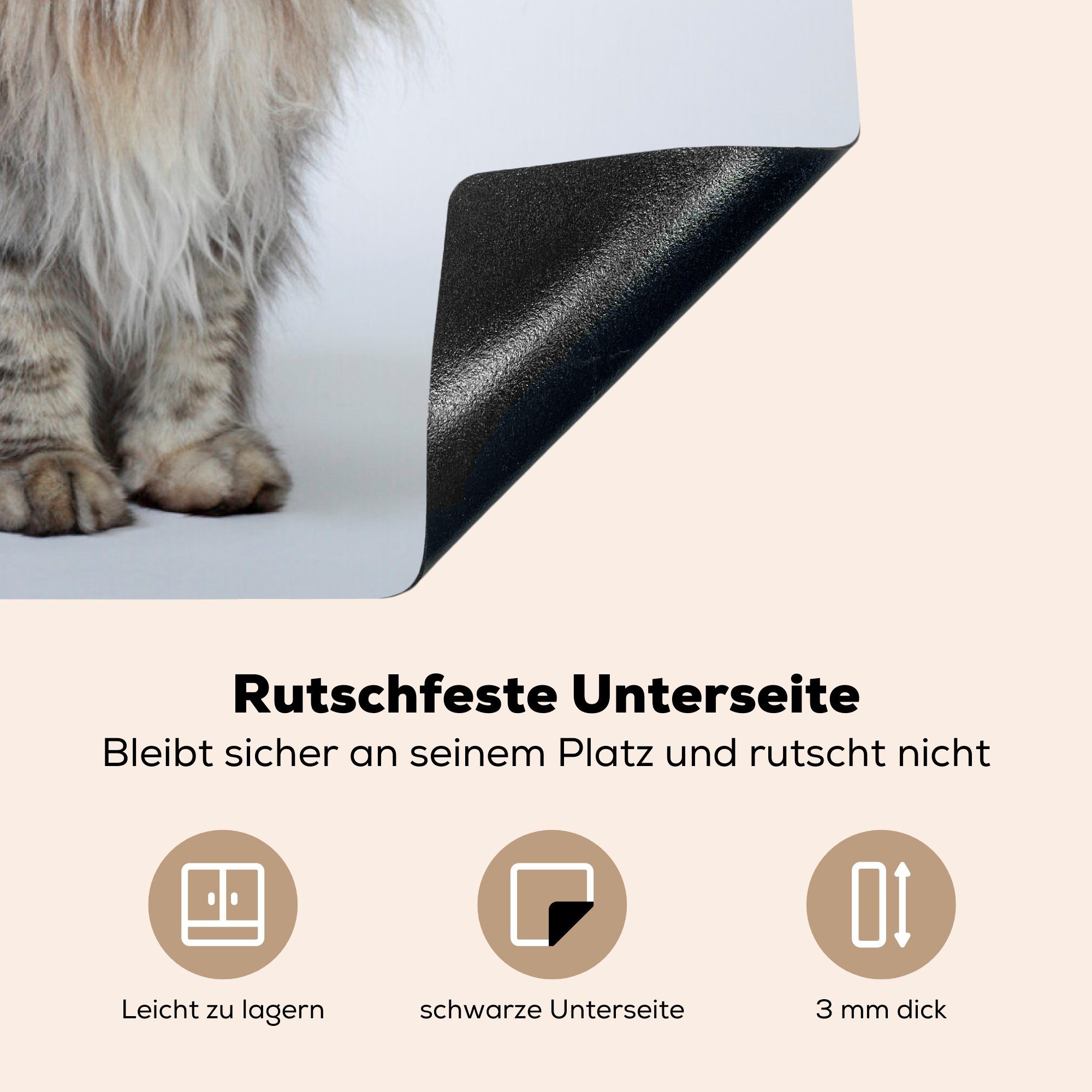 Schutz Coon für grauen Maine MuchoWow Porträt die küche, cm, Katze, Ceranfeldabdeckung Herdblende-/Abdeckplatte Induktionskochfeld (1 tlg), 81x52 einer Vinyl,