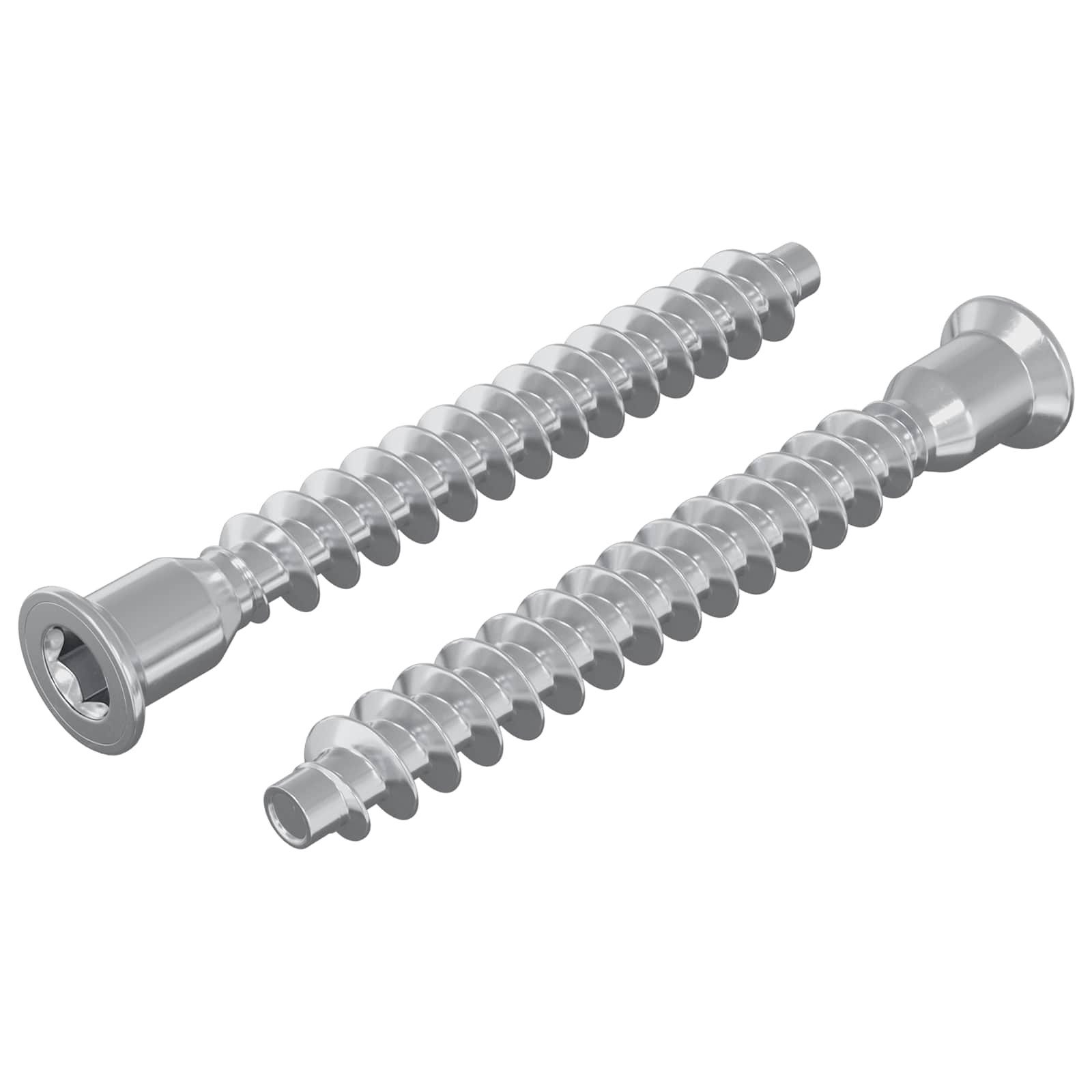 vidaXL Schraube, Confirmat-Schrauben 2 pcs Silber Metall