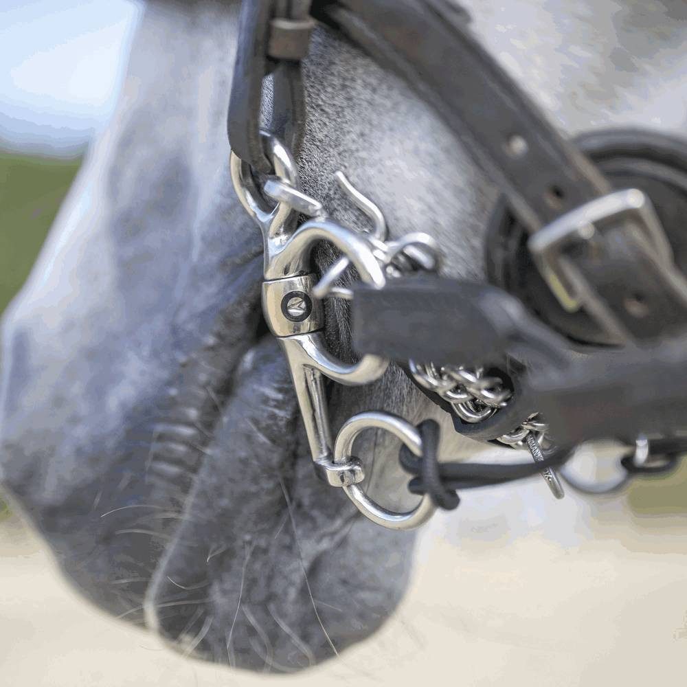 SPRENGER Trensengebiss Sprenger Novocontact Pelham einfach gebrochen 16mm